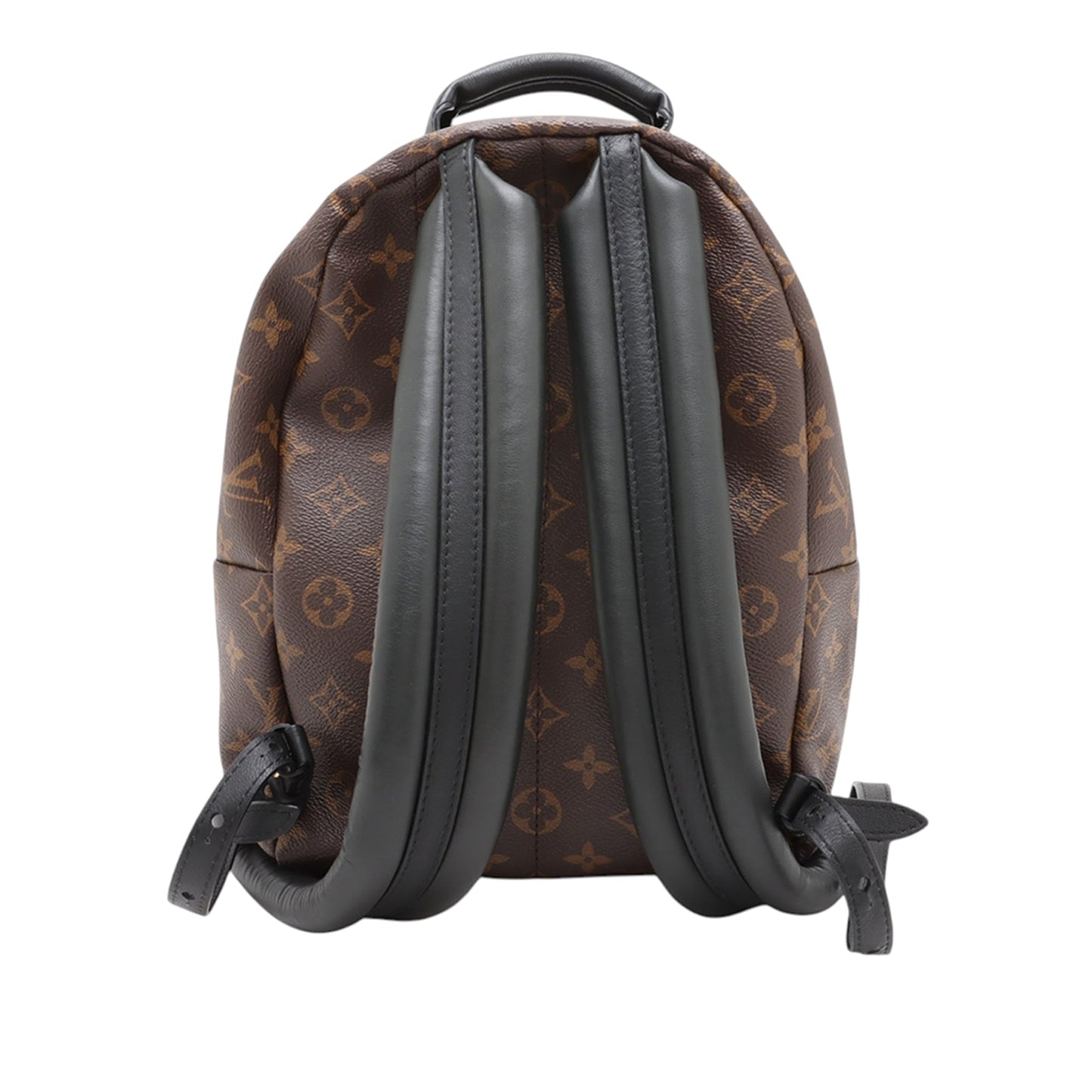 Louis Vuitton Monogram Reverse Palm Springs PM