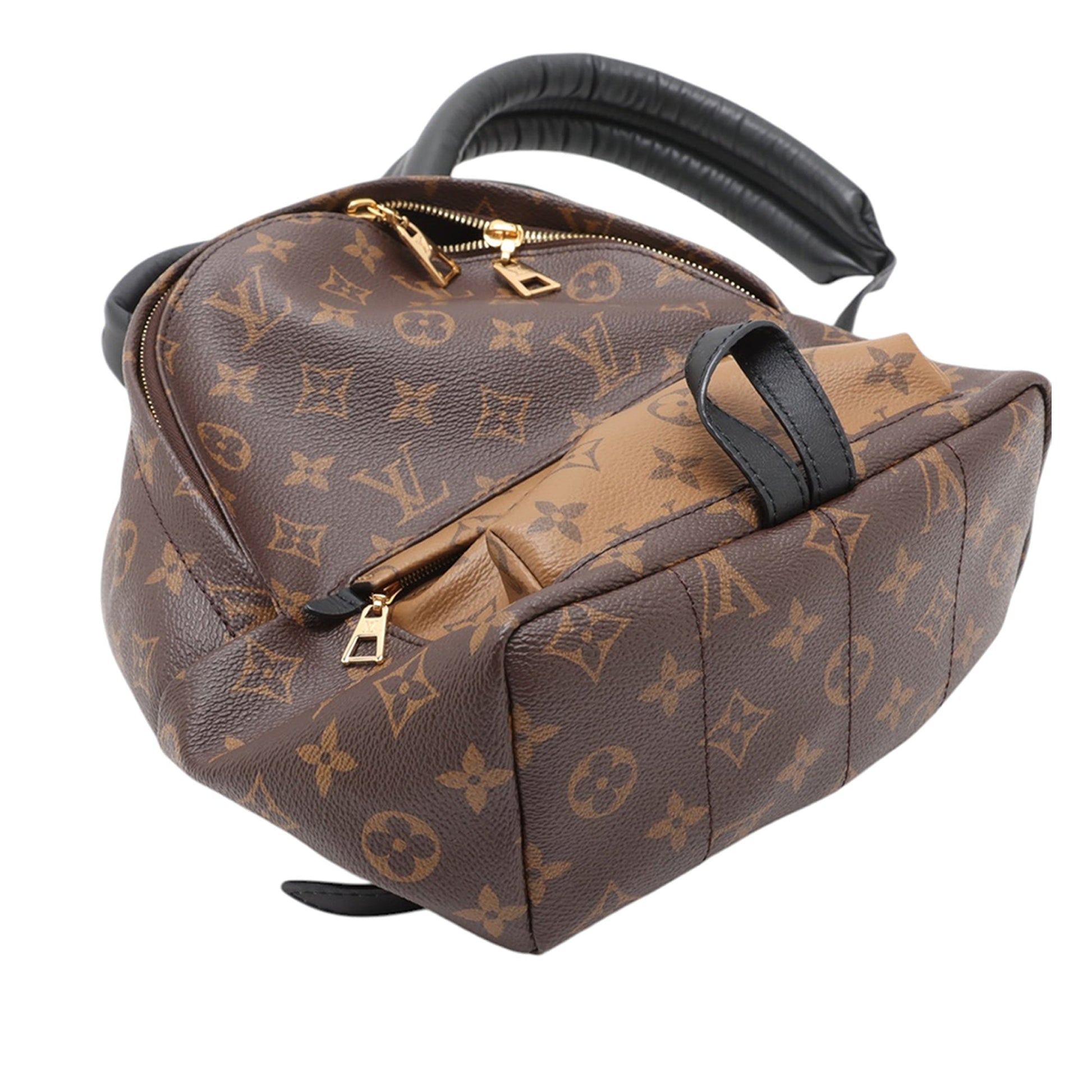 Louis Vuitton Monogram Reverse Palm Springs PM