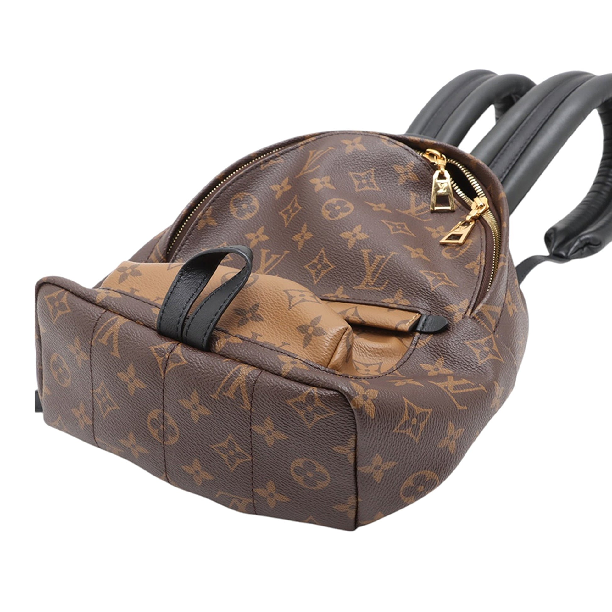 Louis Vuitton Monogram Reverse Palm Springs PM