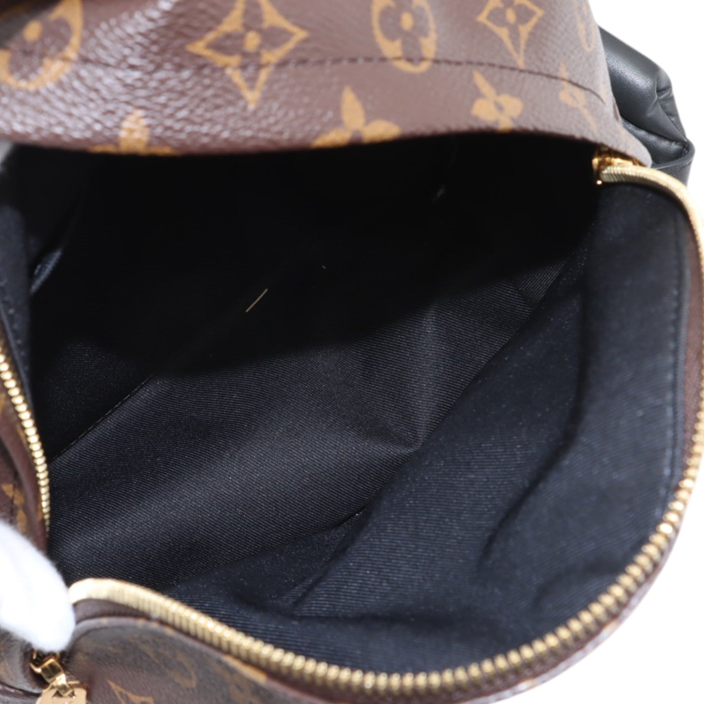Louis Vuitton Monogram Reverse Palm Springs PM