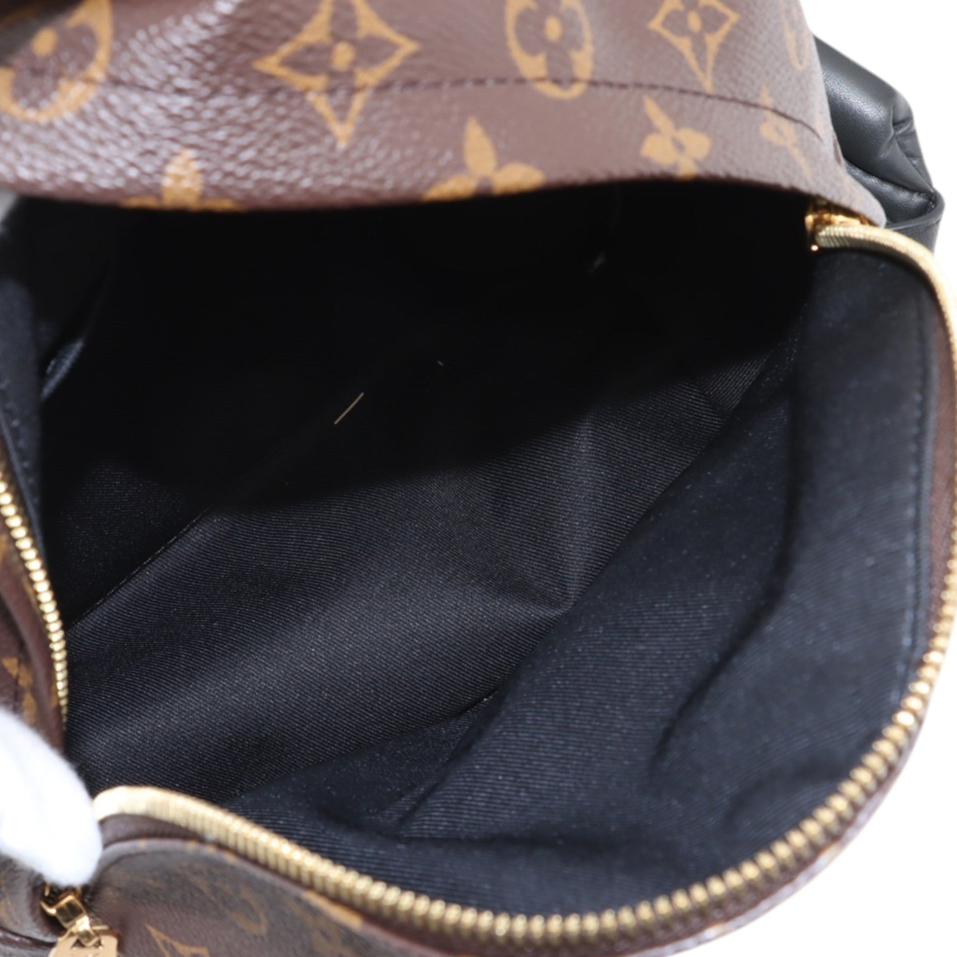 Louis Vuitton Monogram Reverse Palm Springs PM
