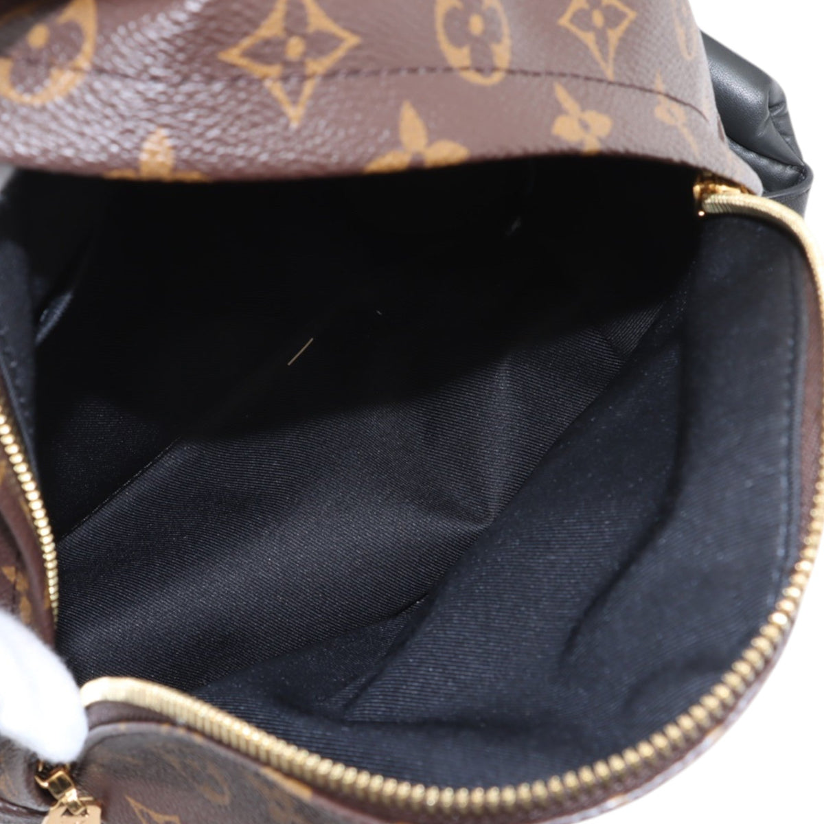 Louis Vuitton Monogram Reverse Palm Springs PM