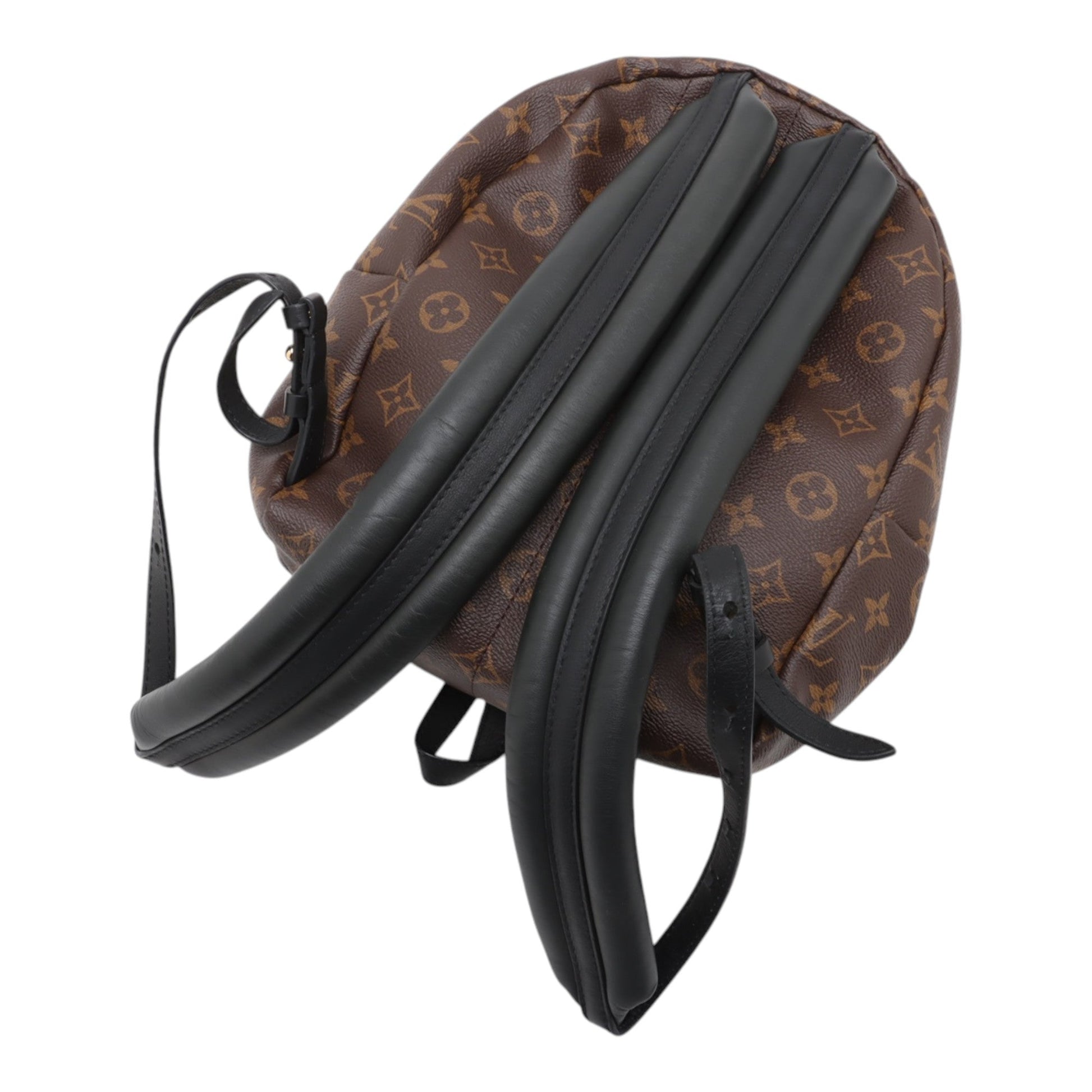 Louis Vuitton Monogram Reverse Palm Springs PM