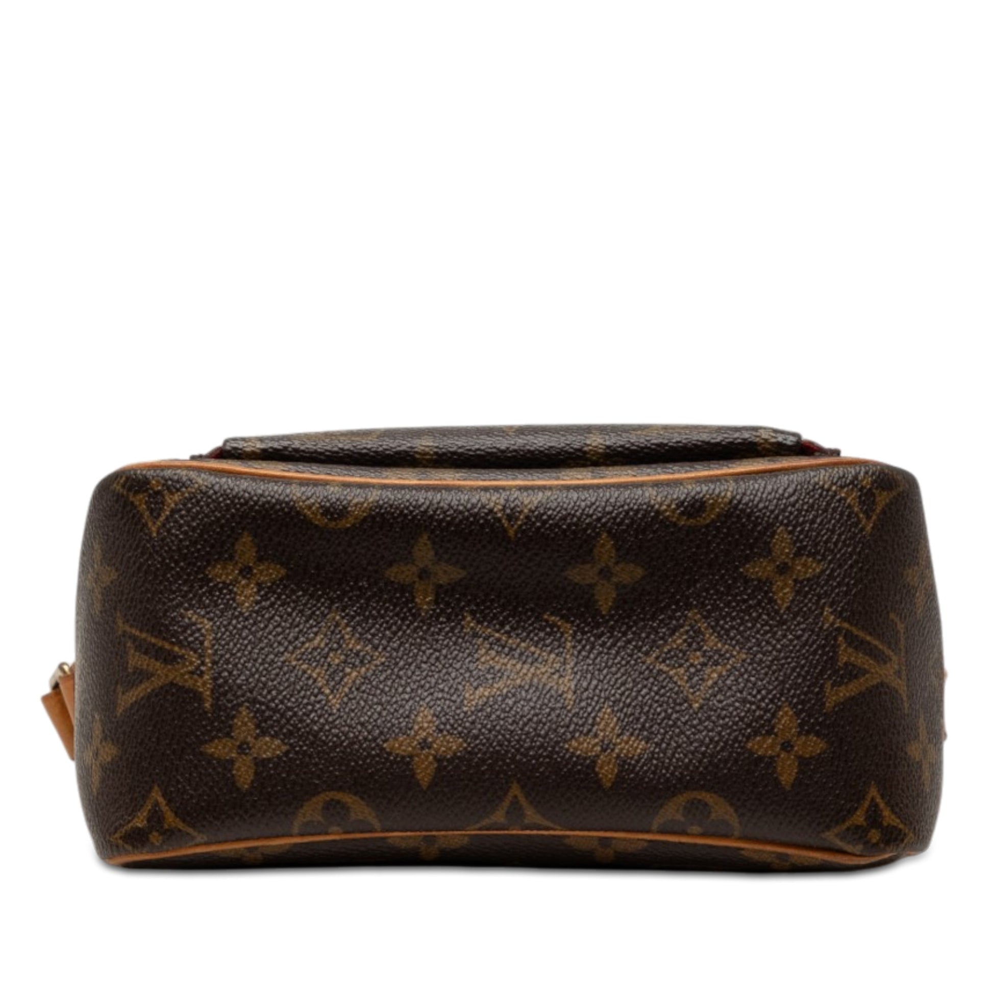 Louis Vuitton Monogram Viva Cite PM