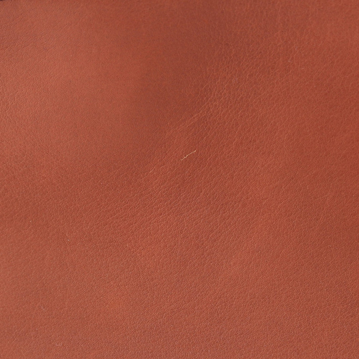 The Row Leather Peggy Convertible Clutch