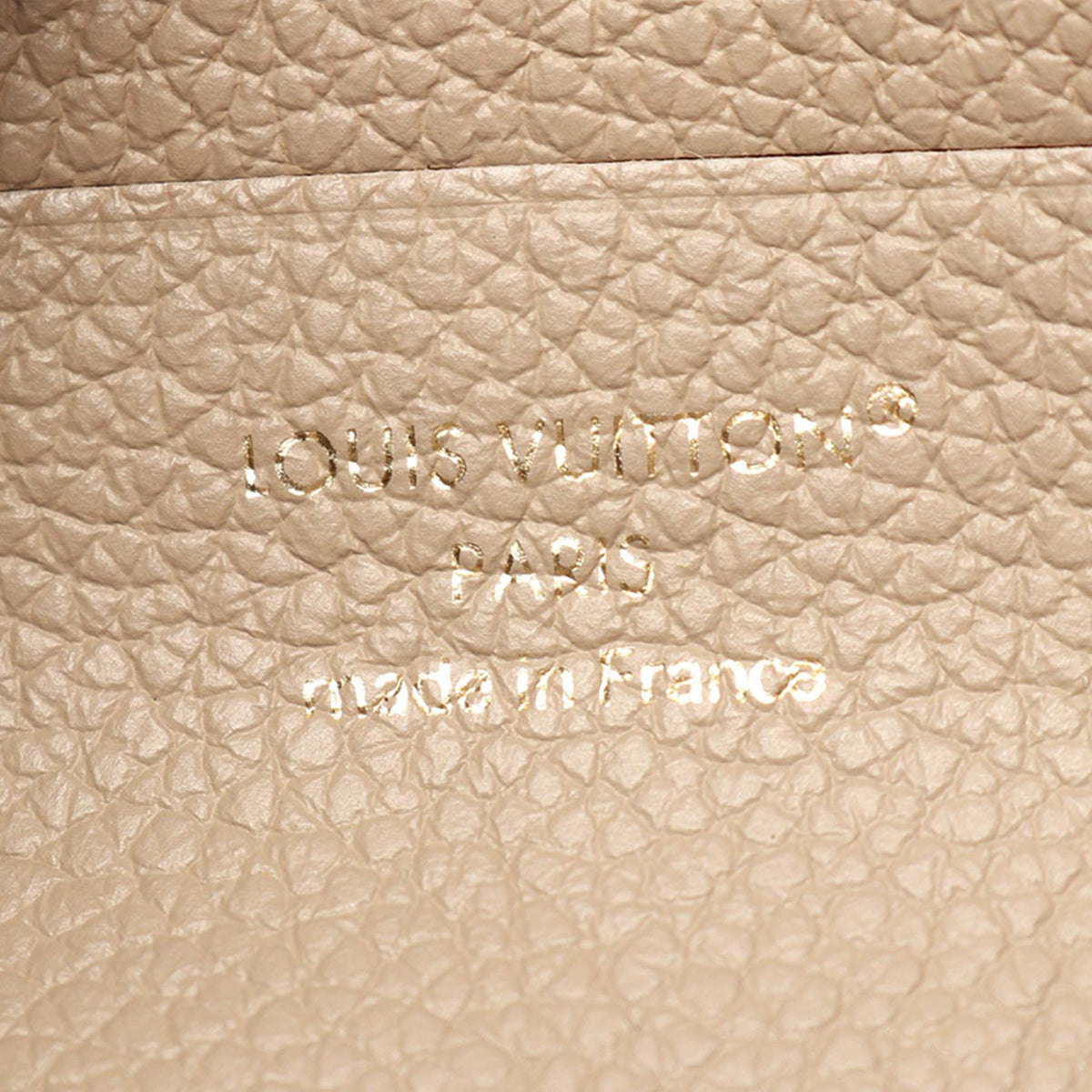 Louis Vuitton Bicolor Monogram Empreinte Giant Ivy Wallet on Chain — Brown