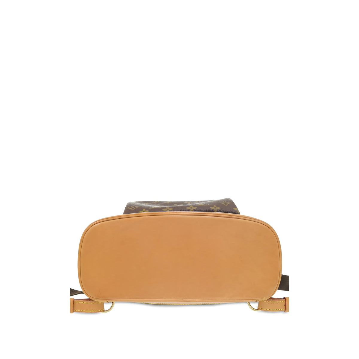 Louis Vuitton Monogram Montsouris GM — Brown