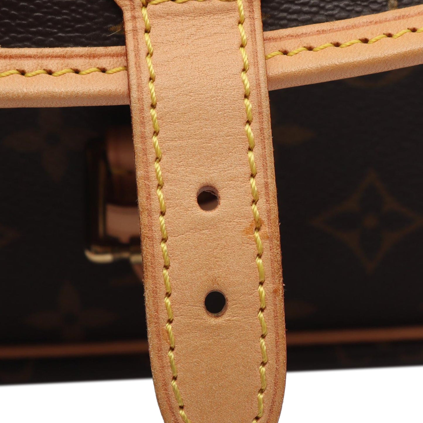 Louis Vuitton Monogram Sologne