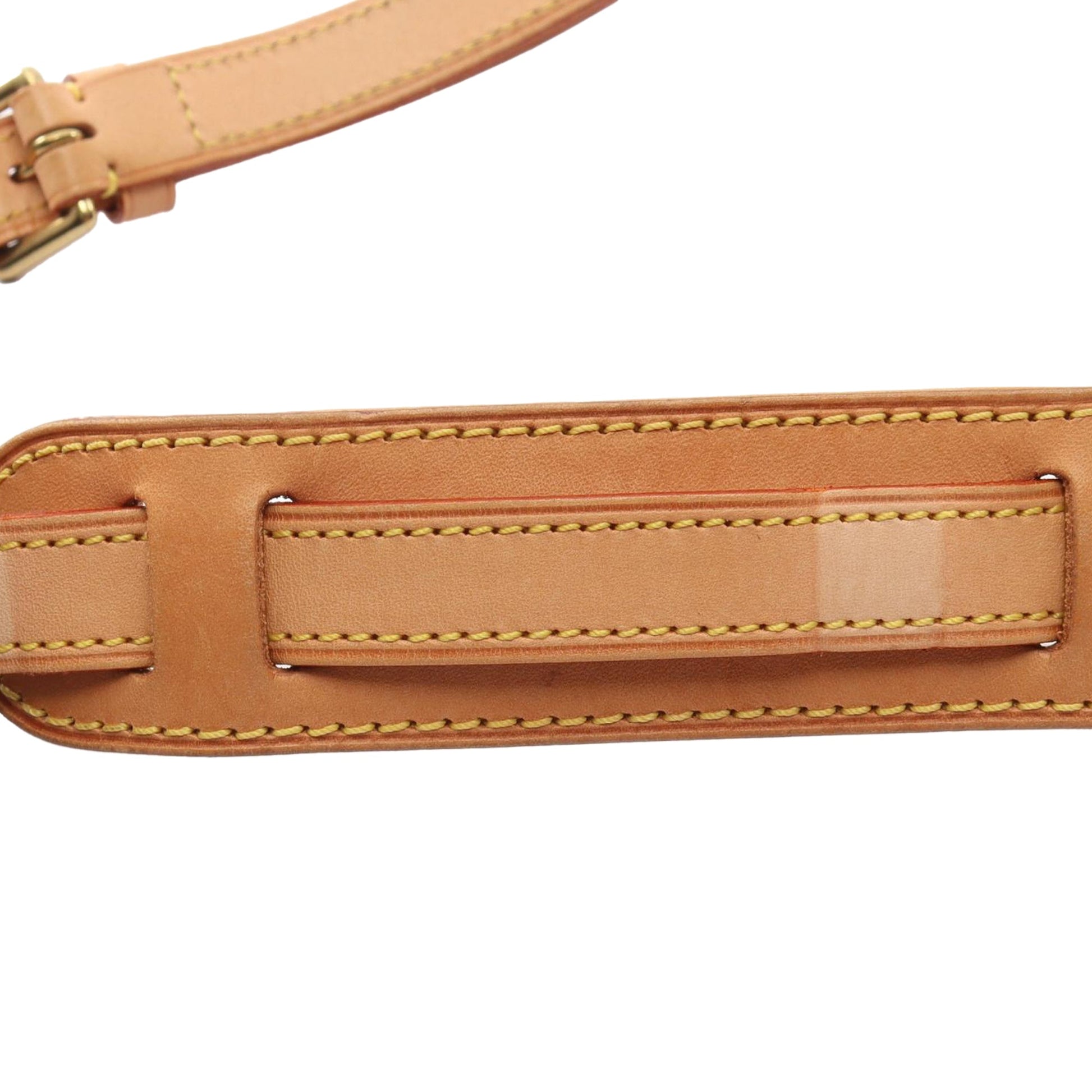 Louis Vuitton Monogram Sologne