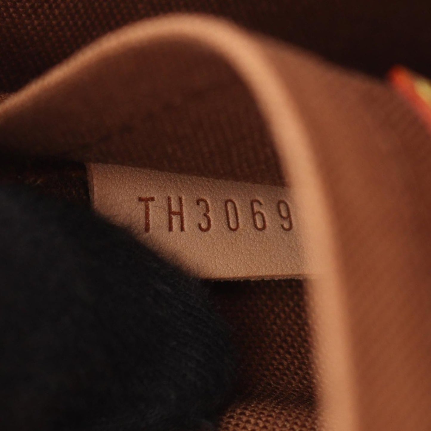 Louis Vuitton Monogram Sologne