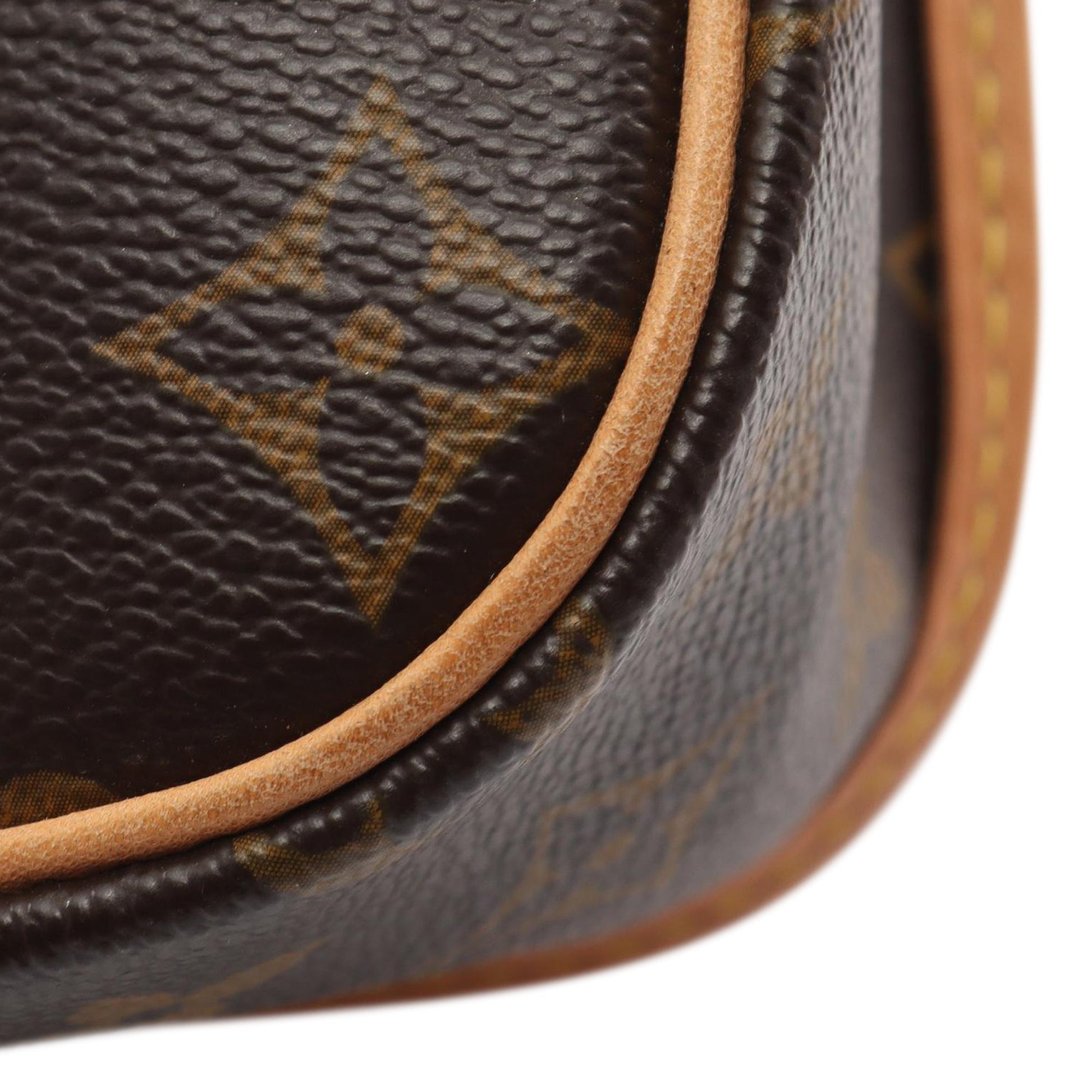 Louis Vuitton Monogram Sologne