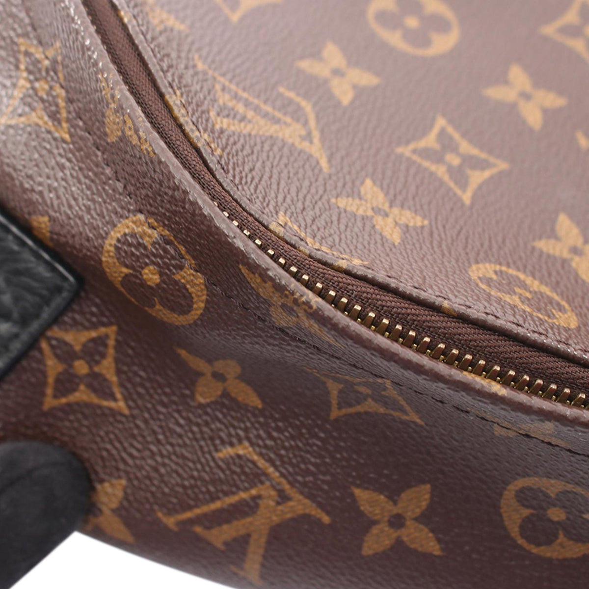 Louis Vuitton Monogram Palm Springs PM