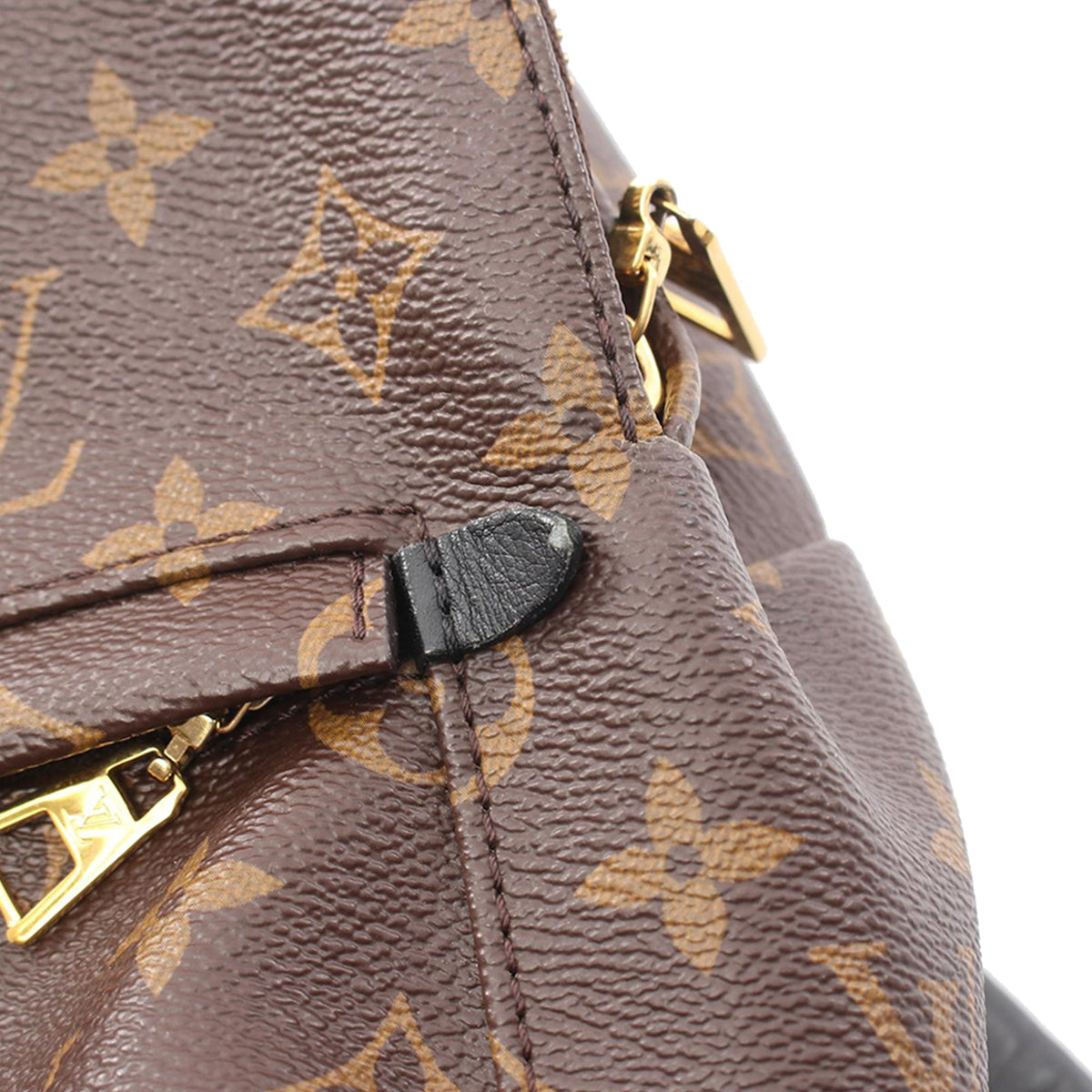 Louis Vuitton Monogram Palm Springs PM
