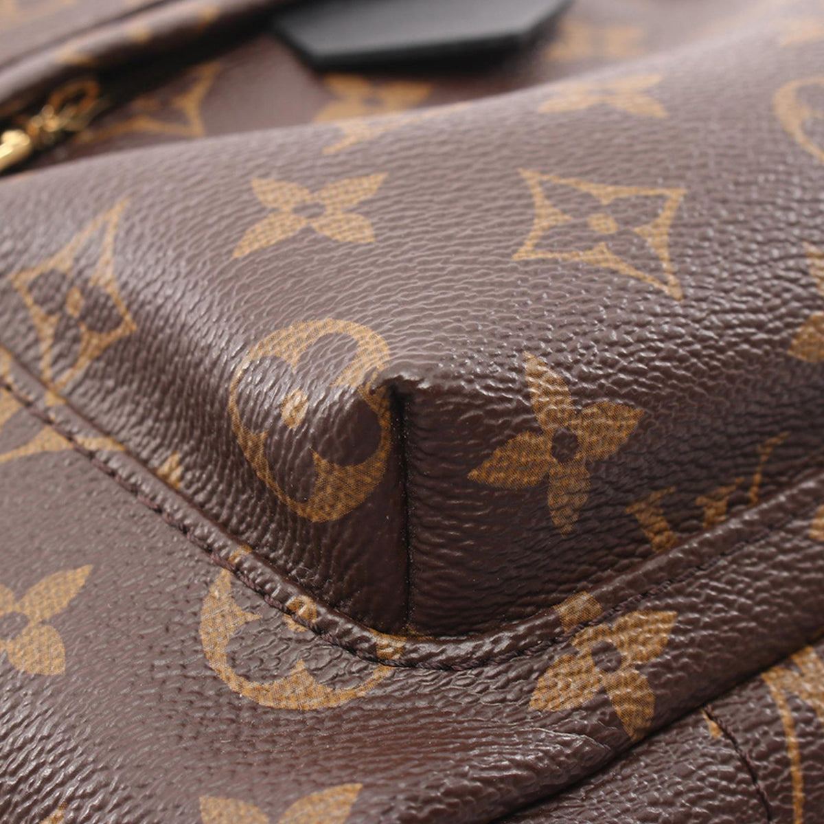Louis Vuitton Monogram Palm Springs PM