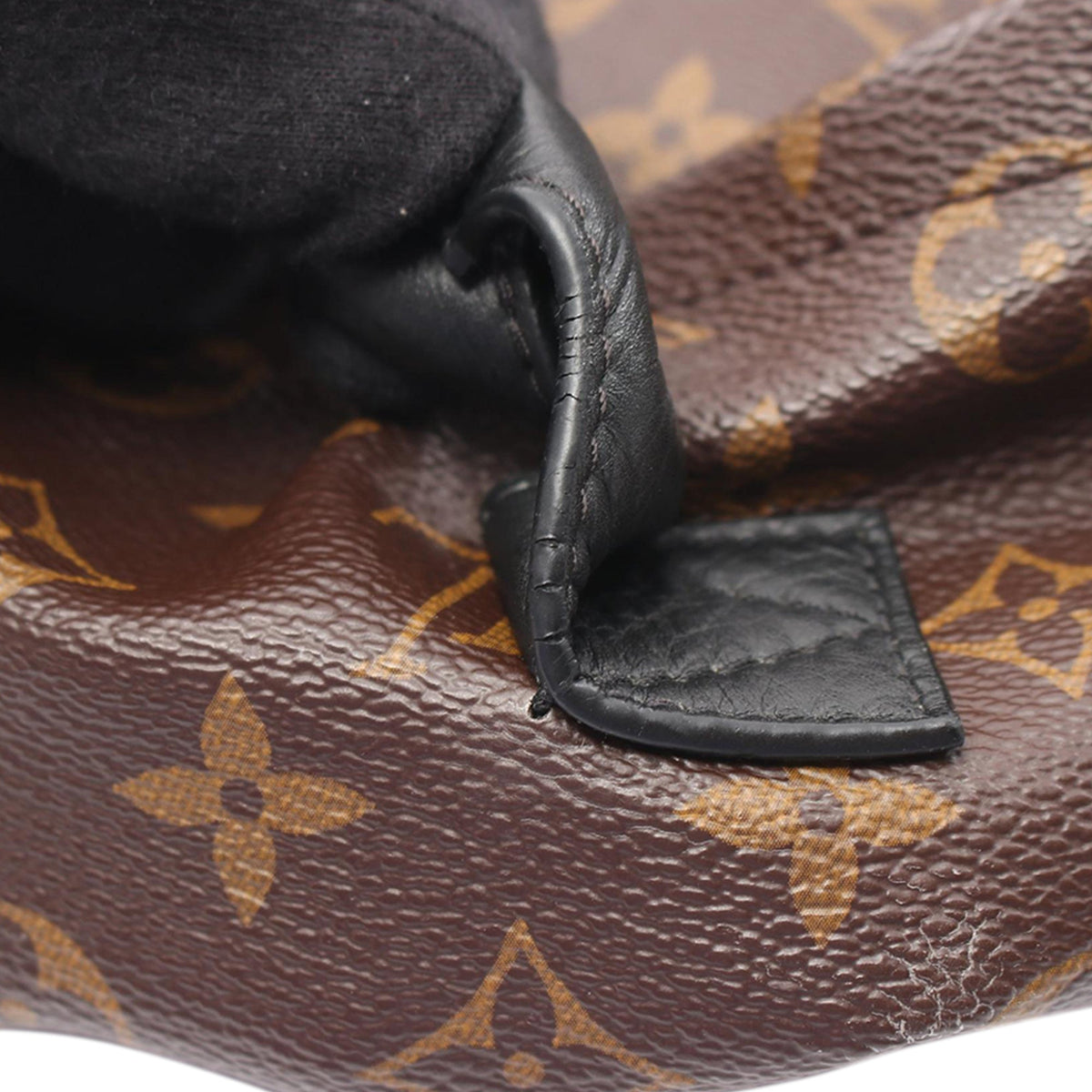 Louis Vuitton Monogram Palm Springs PM