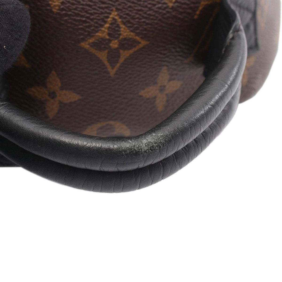 Louis Vuitton Monogram Palm Springs PM