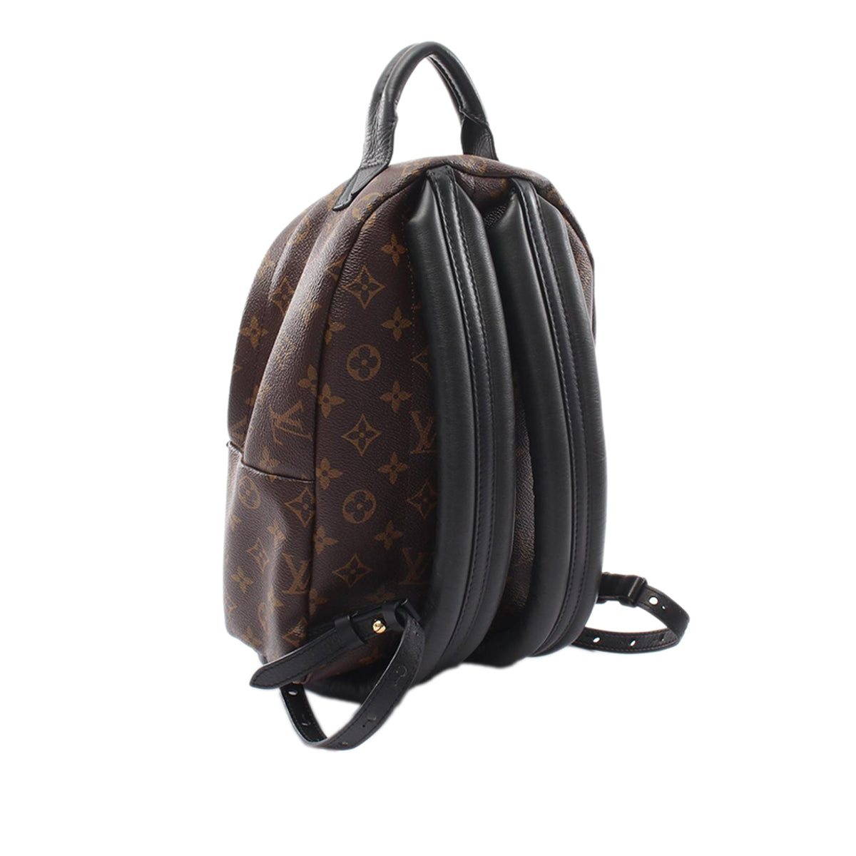 Louis Vuitton Monogram Palm Springs PM