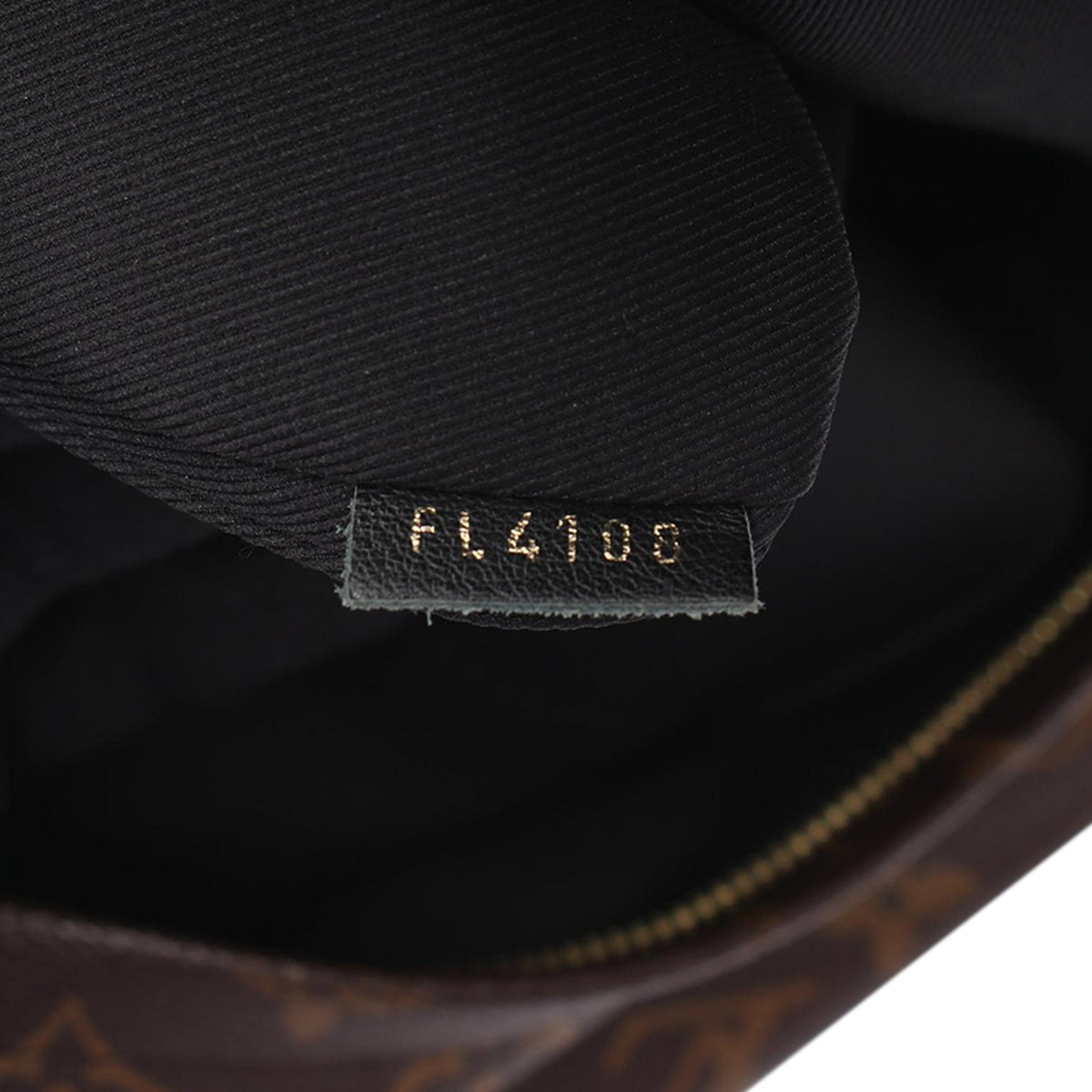 Louis Vuitton Monogram Palm Springs PM