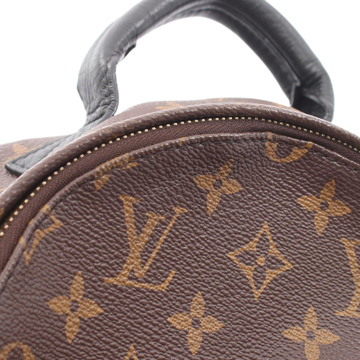 Louis Vuitton Monogram Palm Springs PM