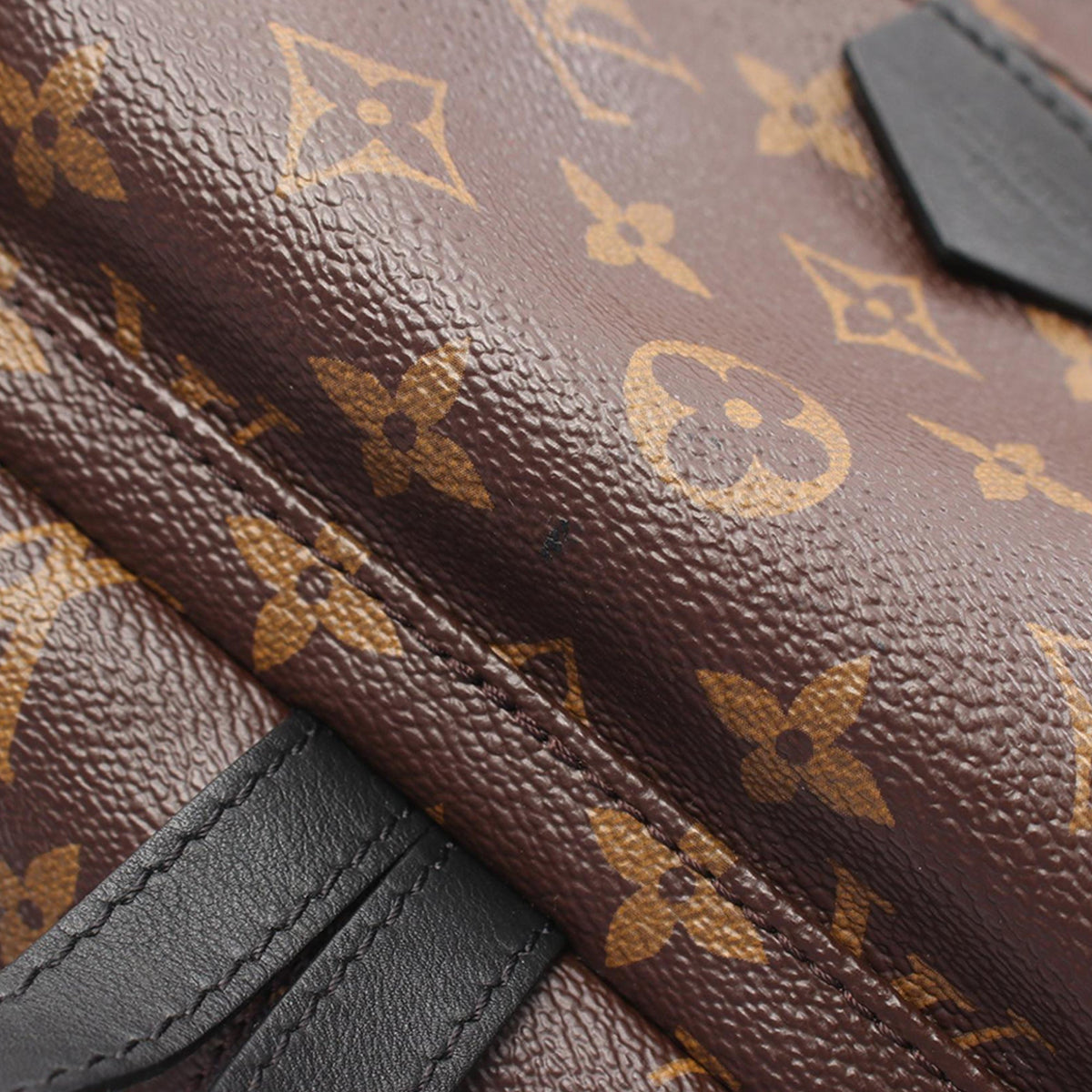 Louis Vuitton Monogram Palm Springs PM