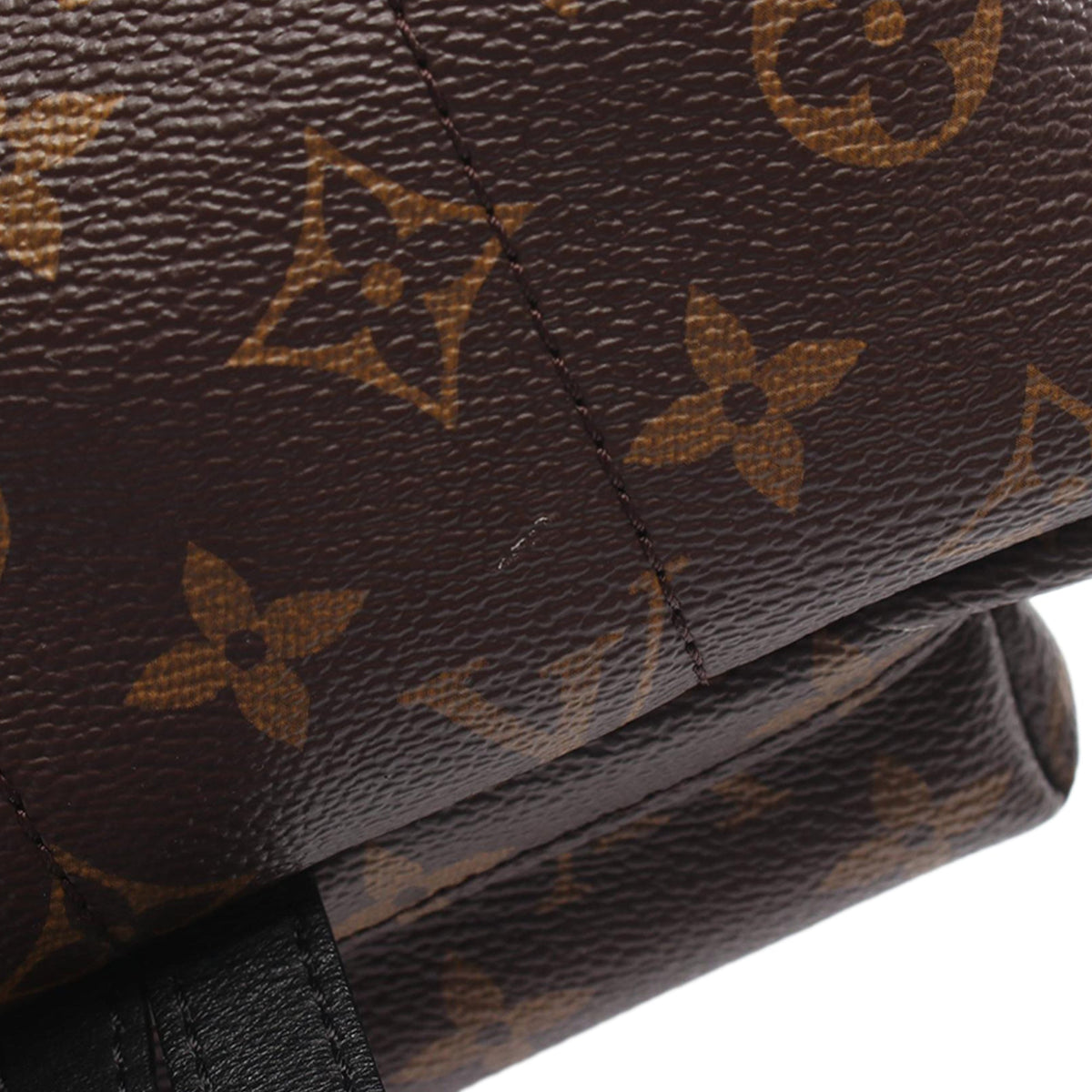 Louis Vuitton Monogram Palm Springs PM