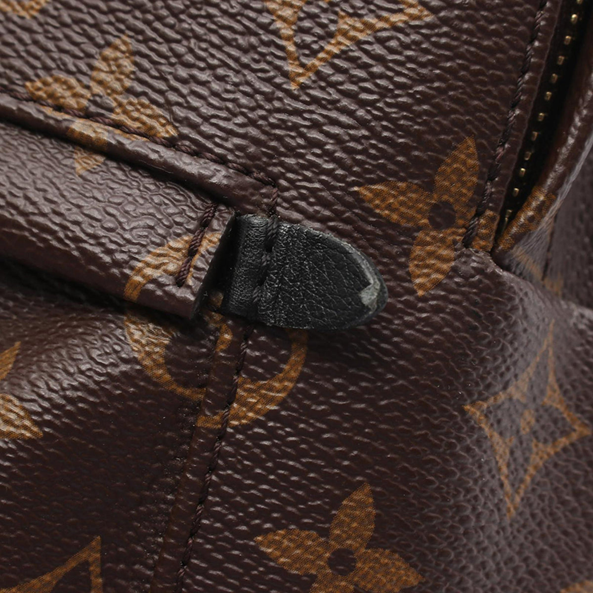 Louis Vuitton Monogram Palm Springs PM