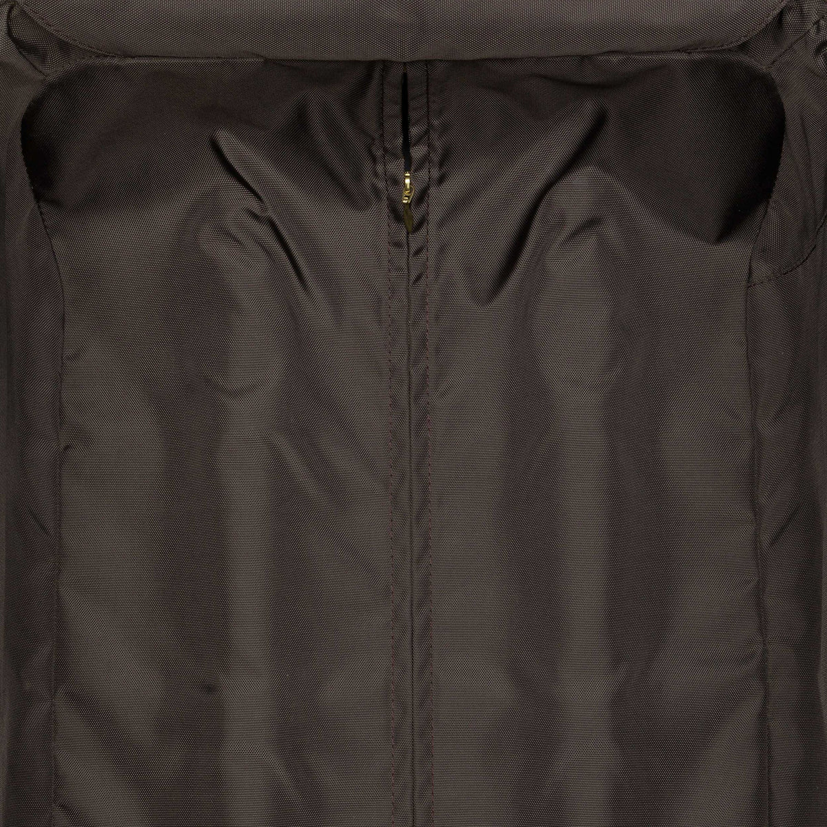 Louis Vuitton Monogram Pegase 45