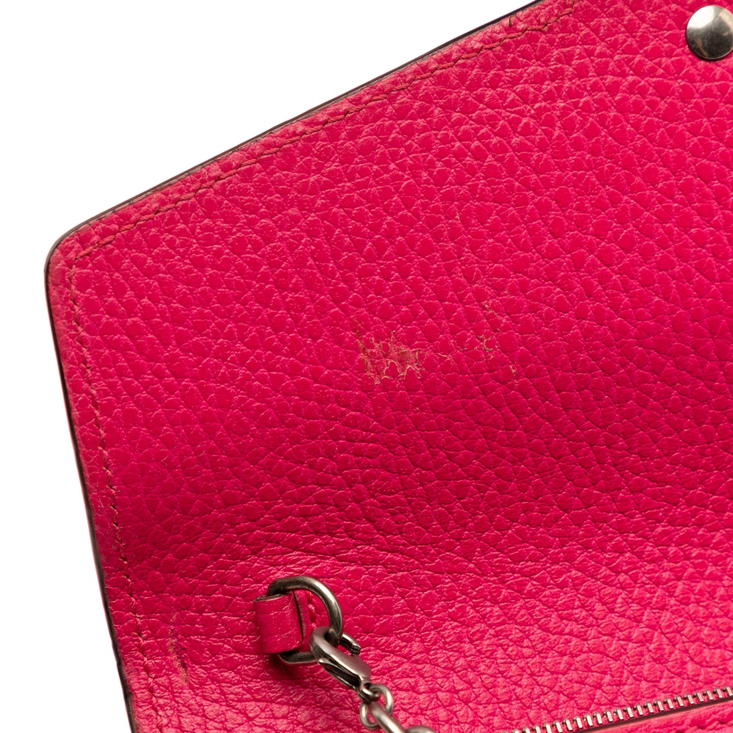 Gucci Calfskin Dionysus Wallet on Chain