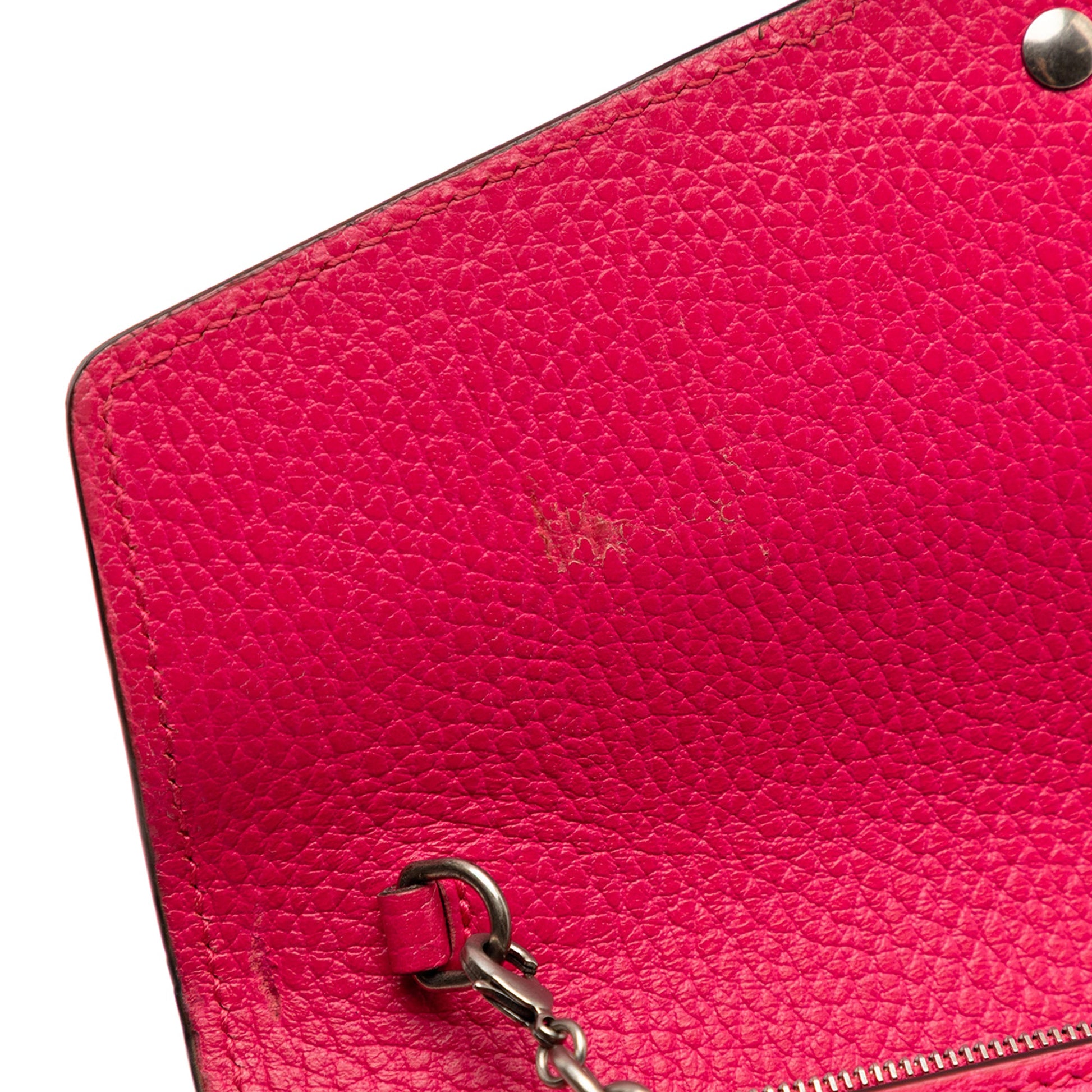 Gucci Calfskin Dionysus Wallet on Chain