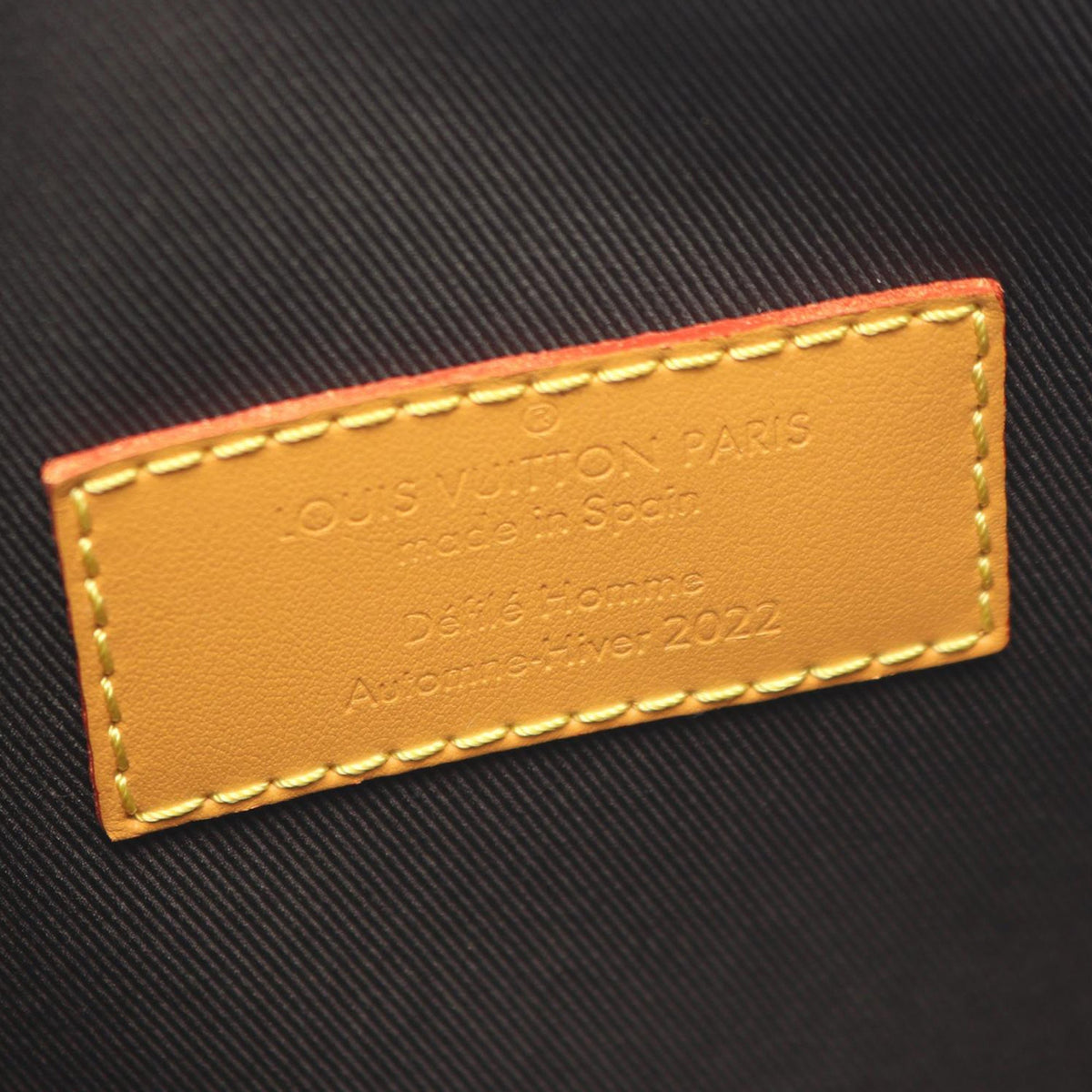 Louis Vuitton Monogram Blurry Cruiser PM
