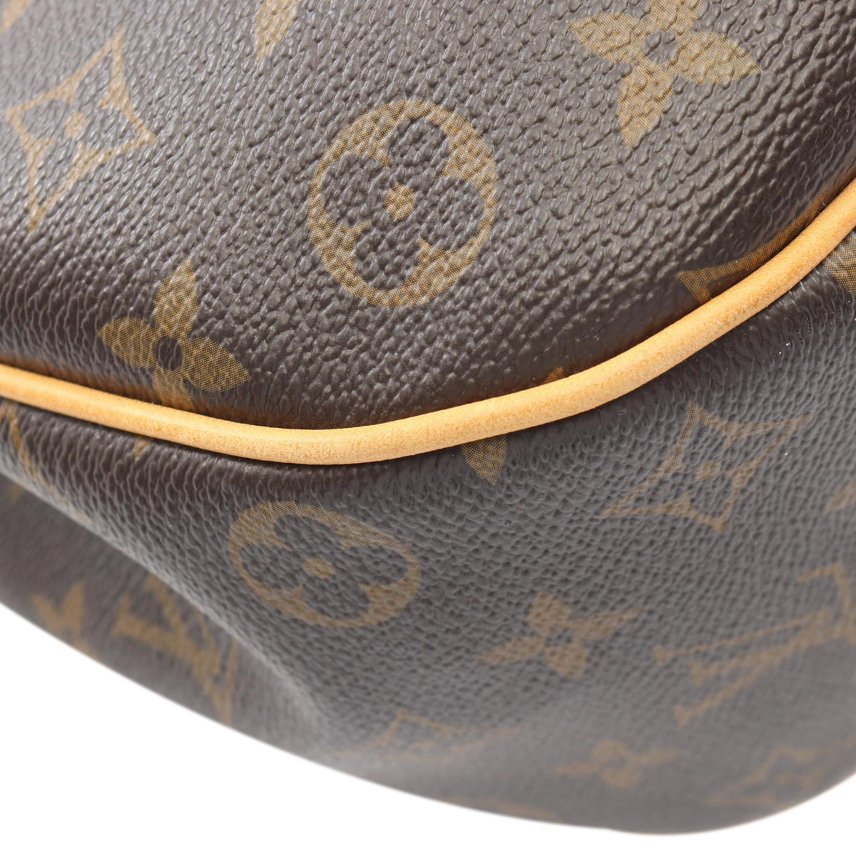 Louis Vuitton Monogram Galliera PM — Brown