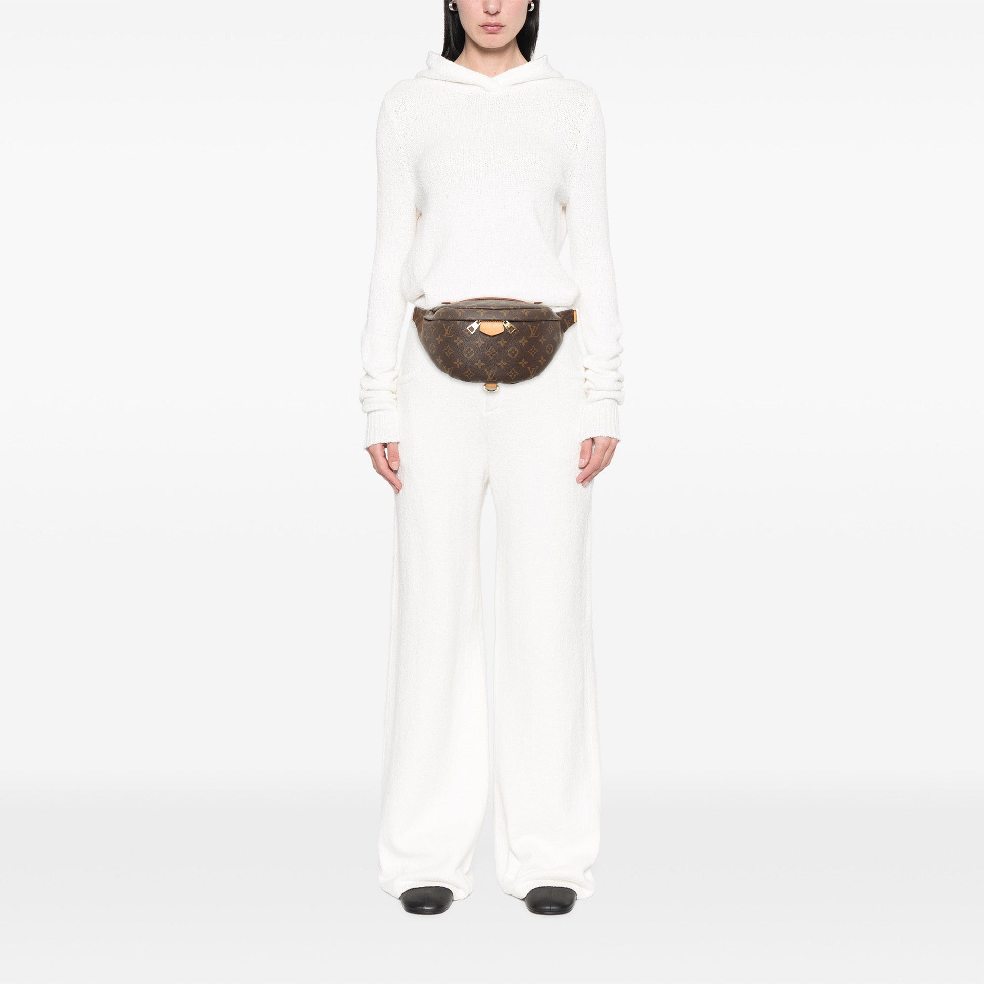 Louis Vuitton Monogram Bumbag