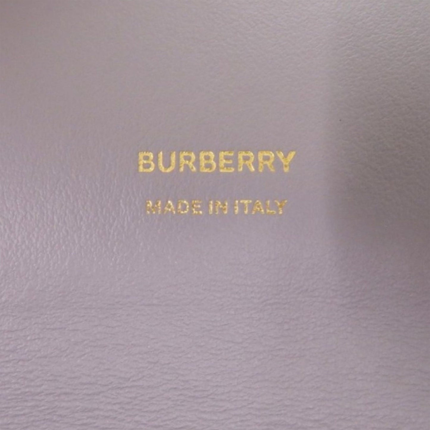 Burberry Leather TB Anne Belt Bag