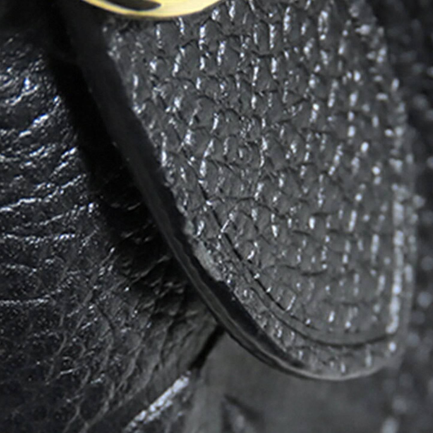 Louis Vuitton Monogram Empreinte Diane