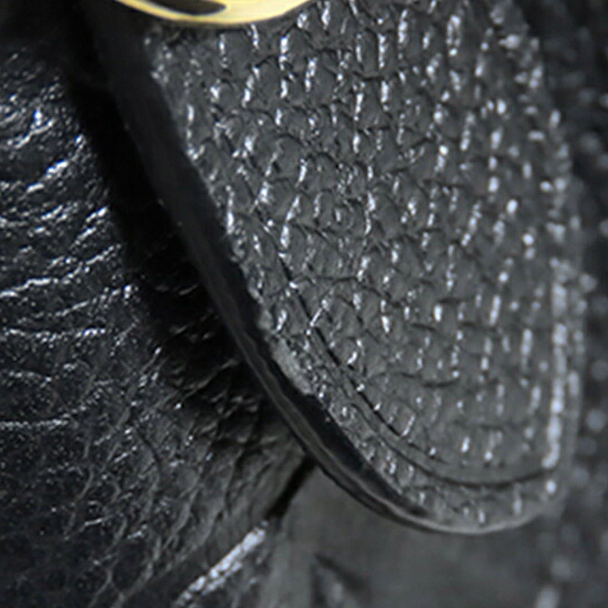 Louis Vuitton Monogram Empreinte Diane