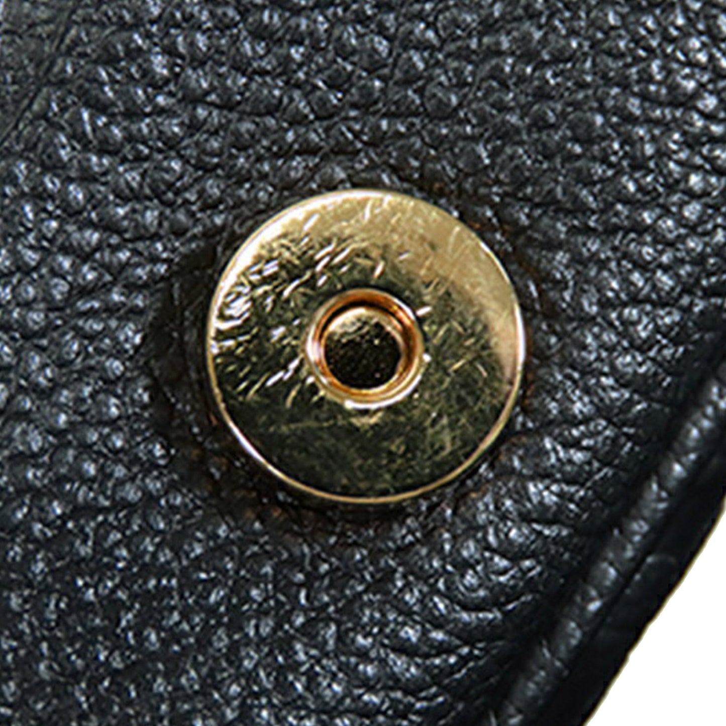 Louis Vuitton Monogram Empreinte Diane