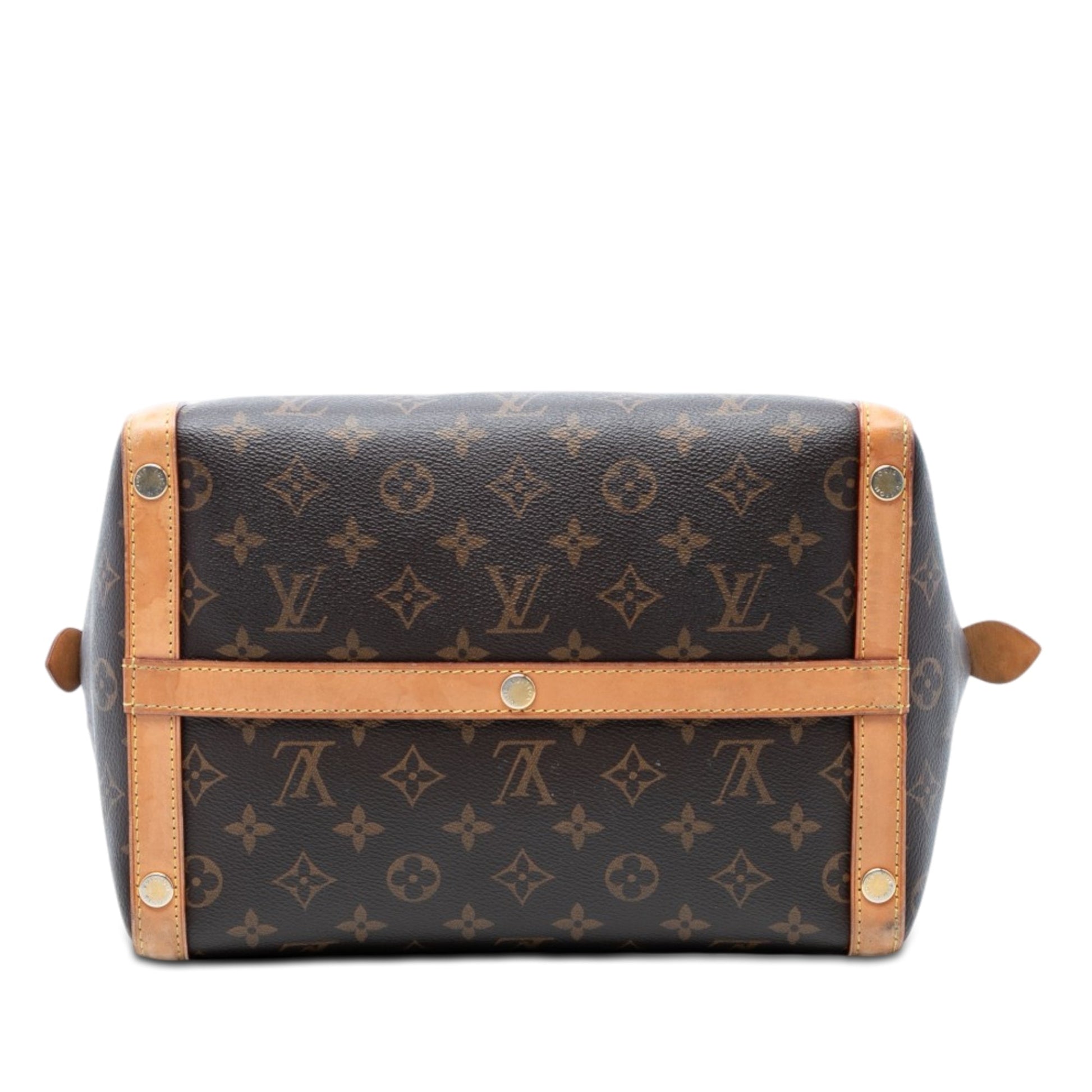 Louis Vuitton Monogram Marais MM