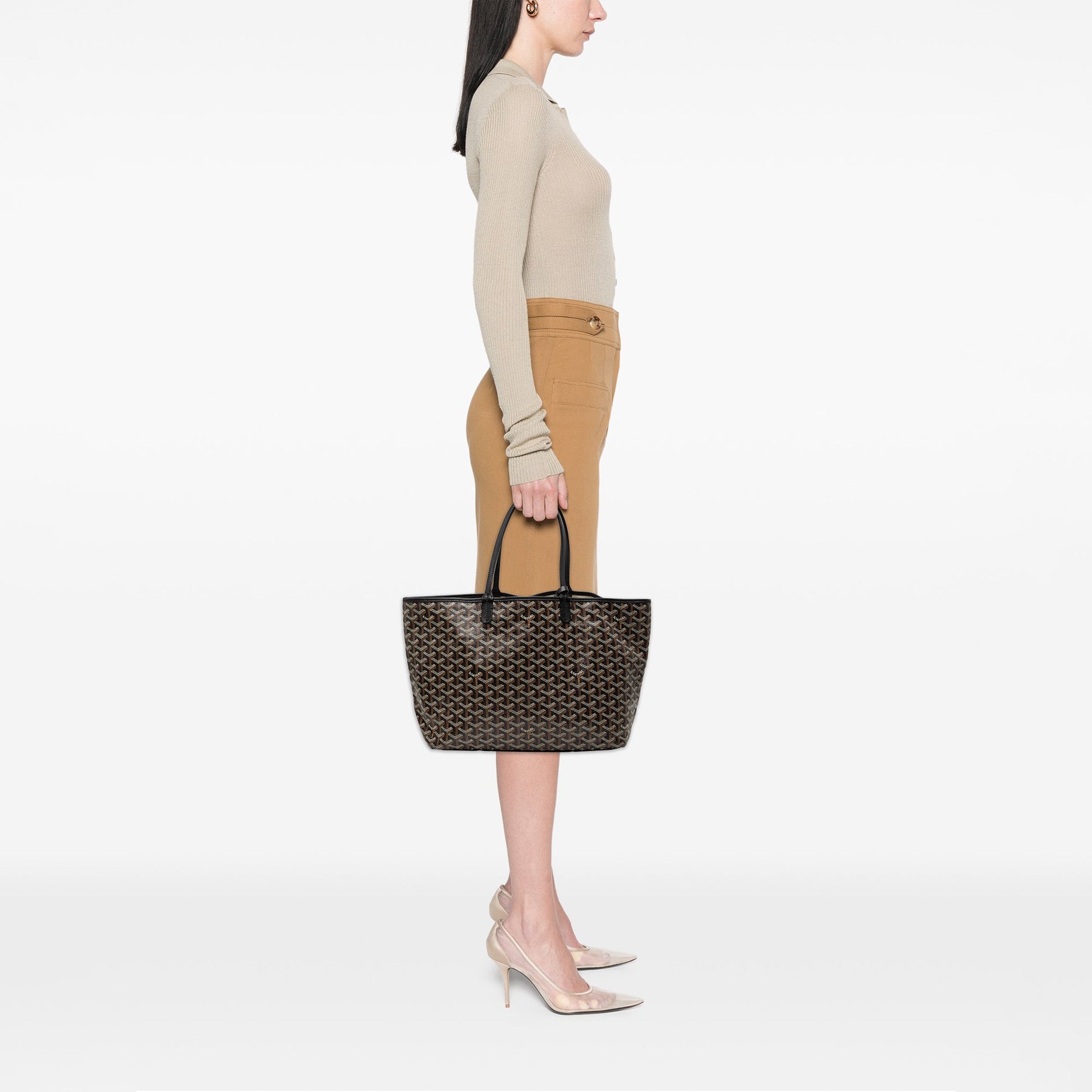 Goyard Goyardine Saint Louis PM