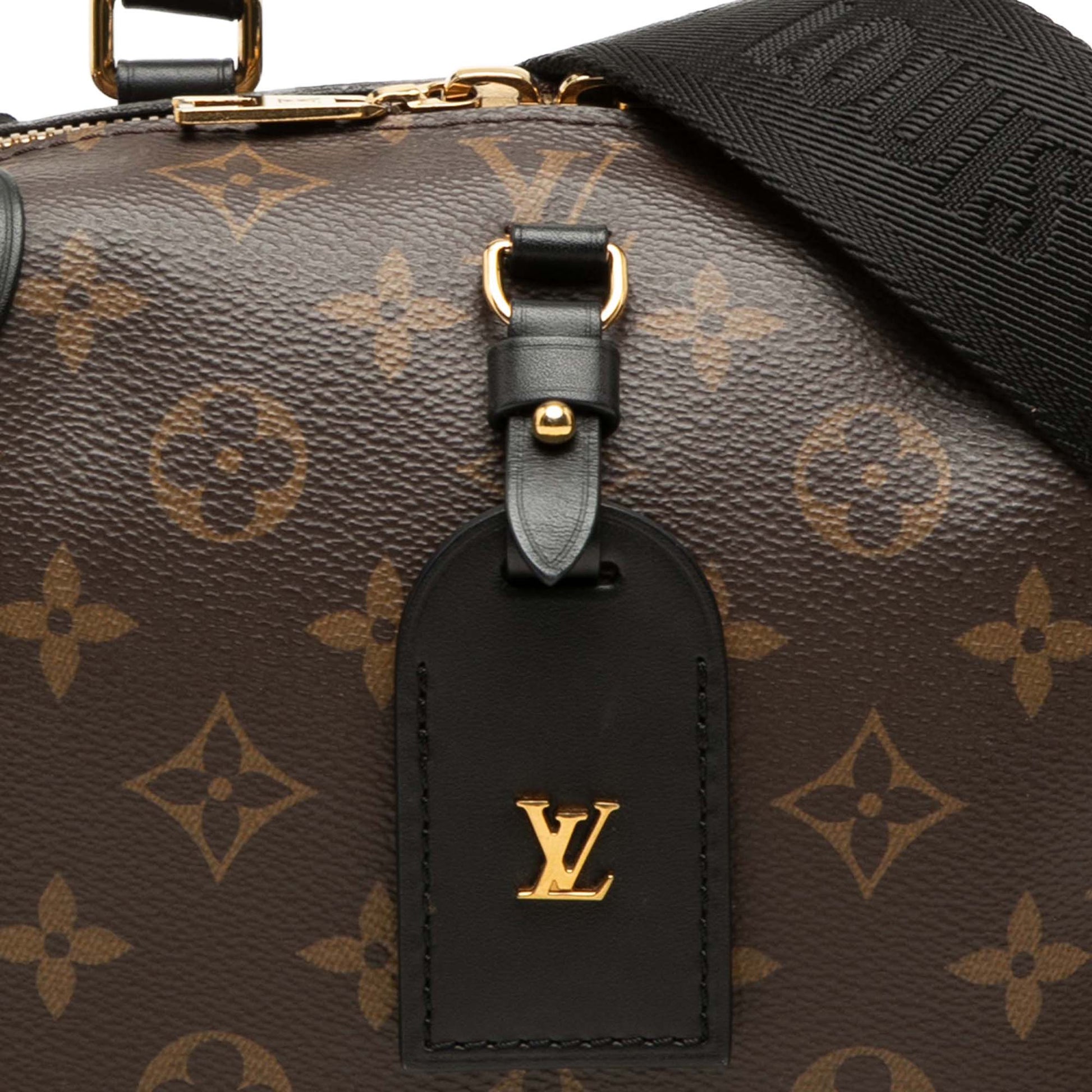 Louis Vuitton Monogram Petite Malle Souple