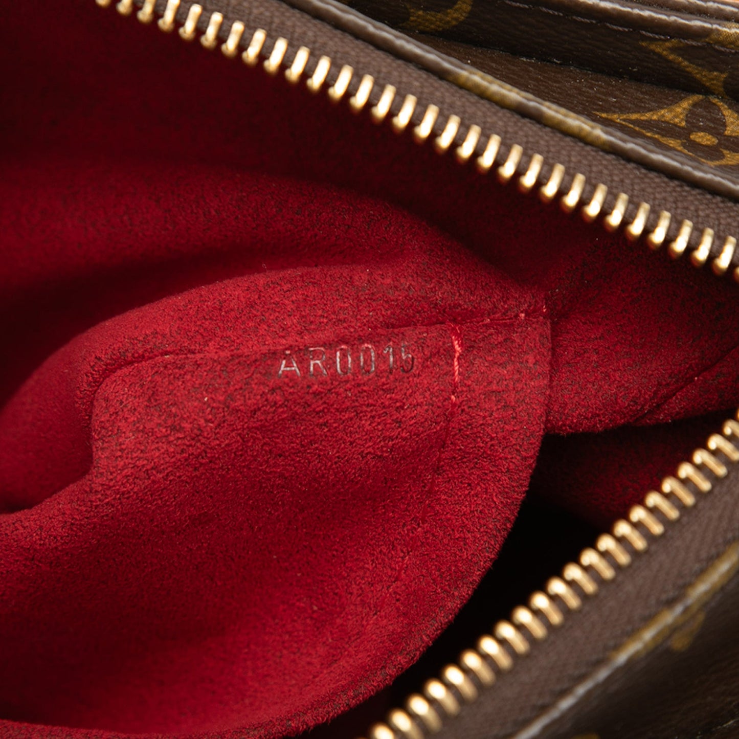 Louis Vuitton Monogram Viva Cite GM