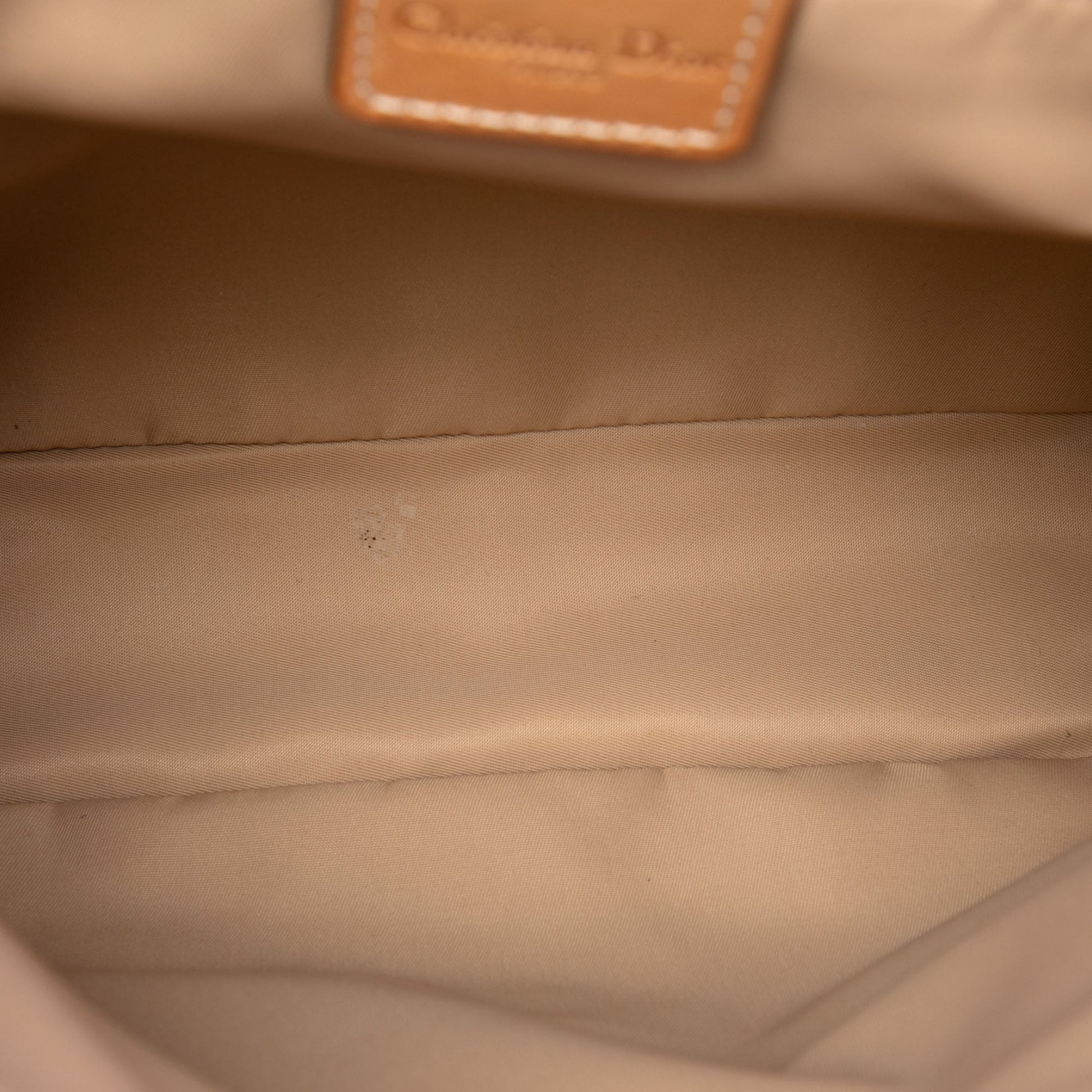 Dior Diorissimo Trotter Canvas Street Chic Crossbody