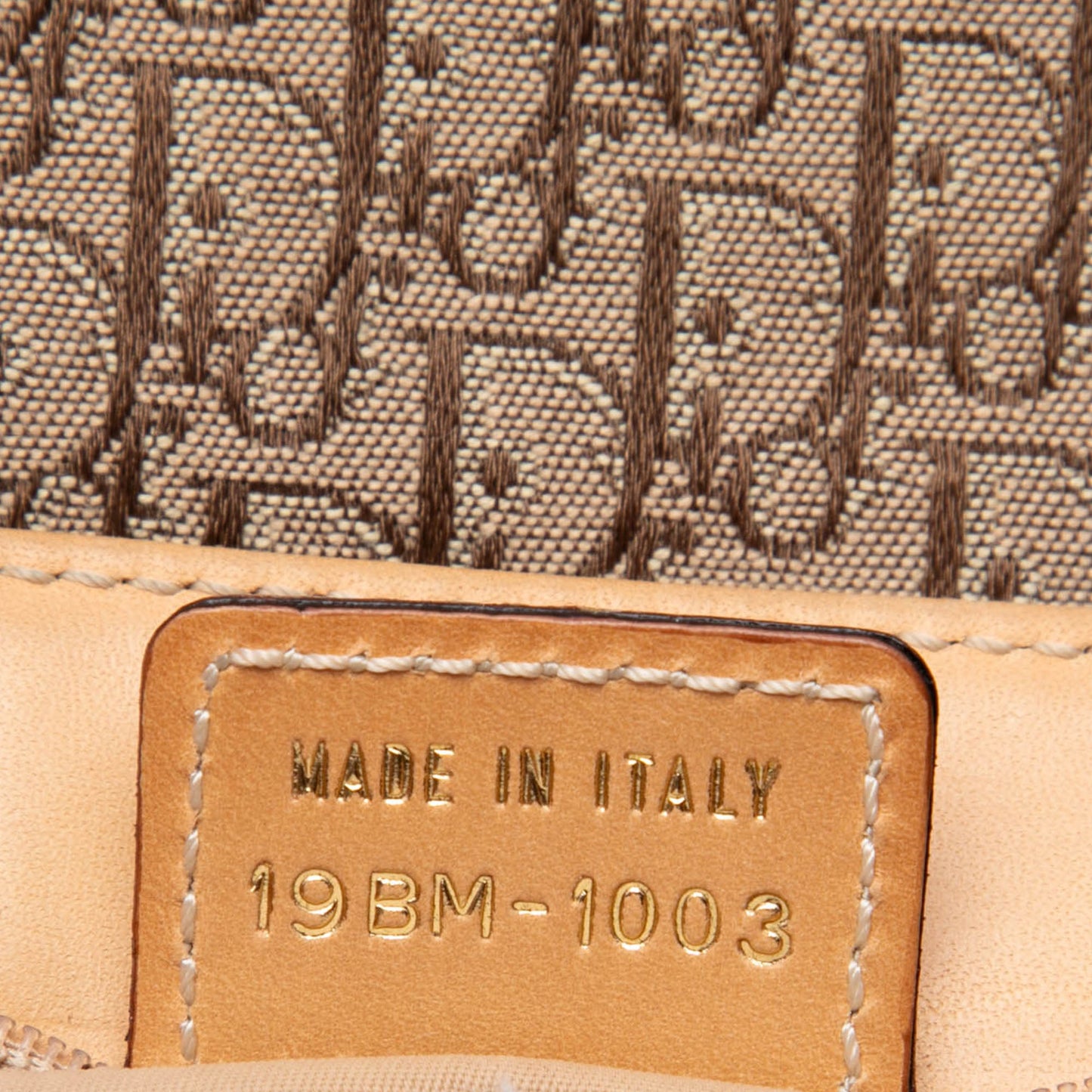 Dior Diorissimo Trotter Canvas Street Chic Crossbody