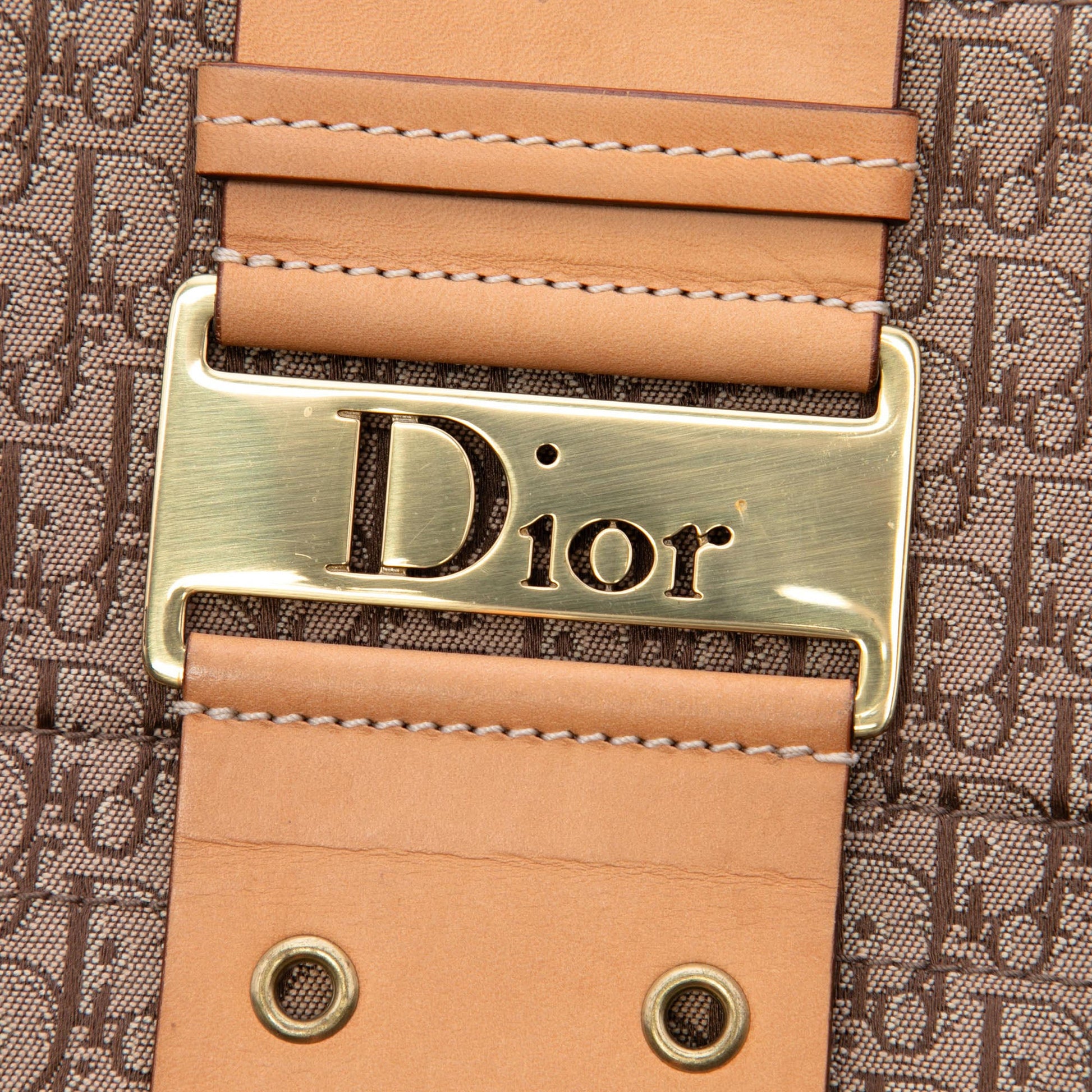 Dior Diorissimo Trotter Canvas Street Chic Crossbody