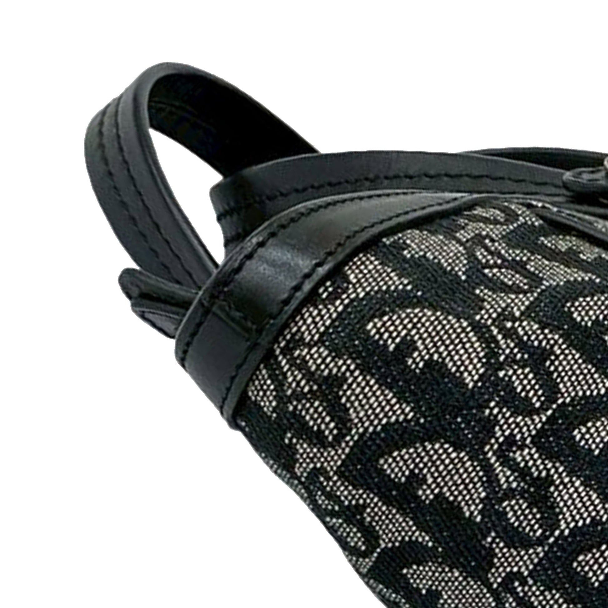 Dior Diorissimo Trotter Canvas Zip Tote