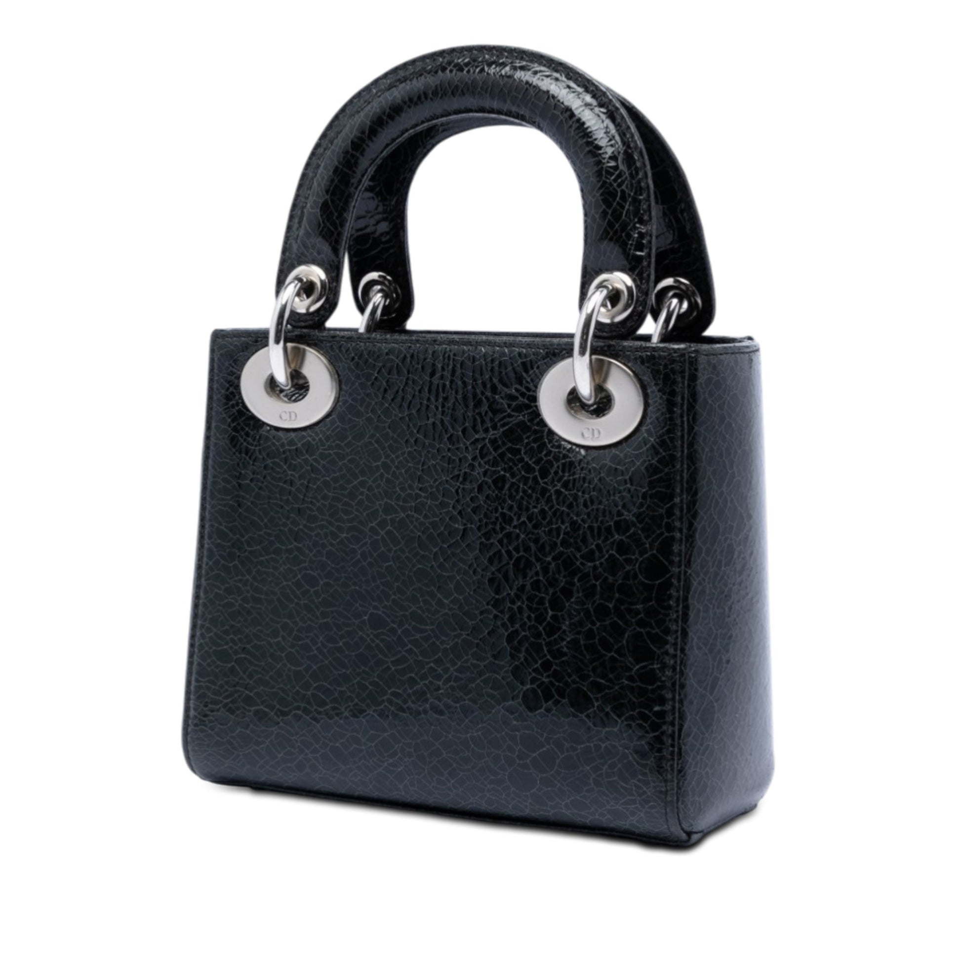 Dior Mini Deerskin Ceramic Effect Jeweled Swan Lady Dior