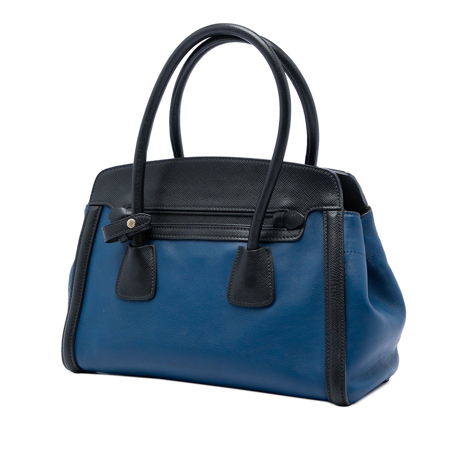 Prada Bicolor Saffiano Trimmed City Calf Double Zip Satchel