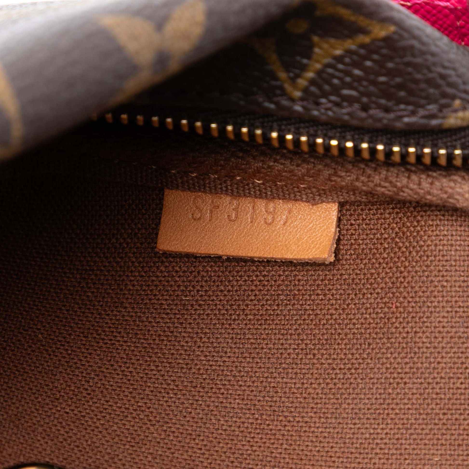 Louis Vuitton Monogram Giraffe Christmas Mini Pochette Accessoires