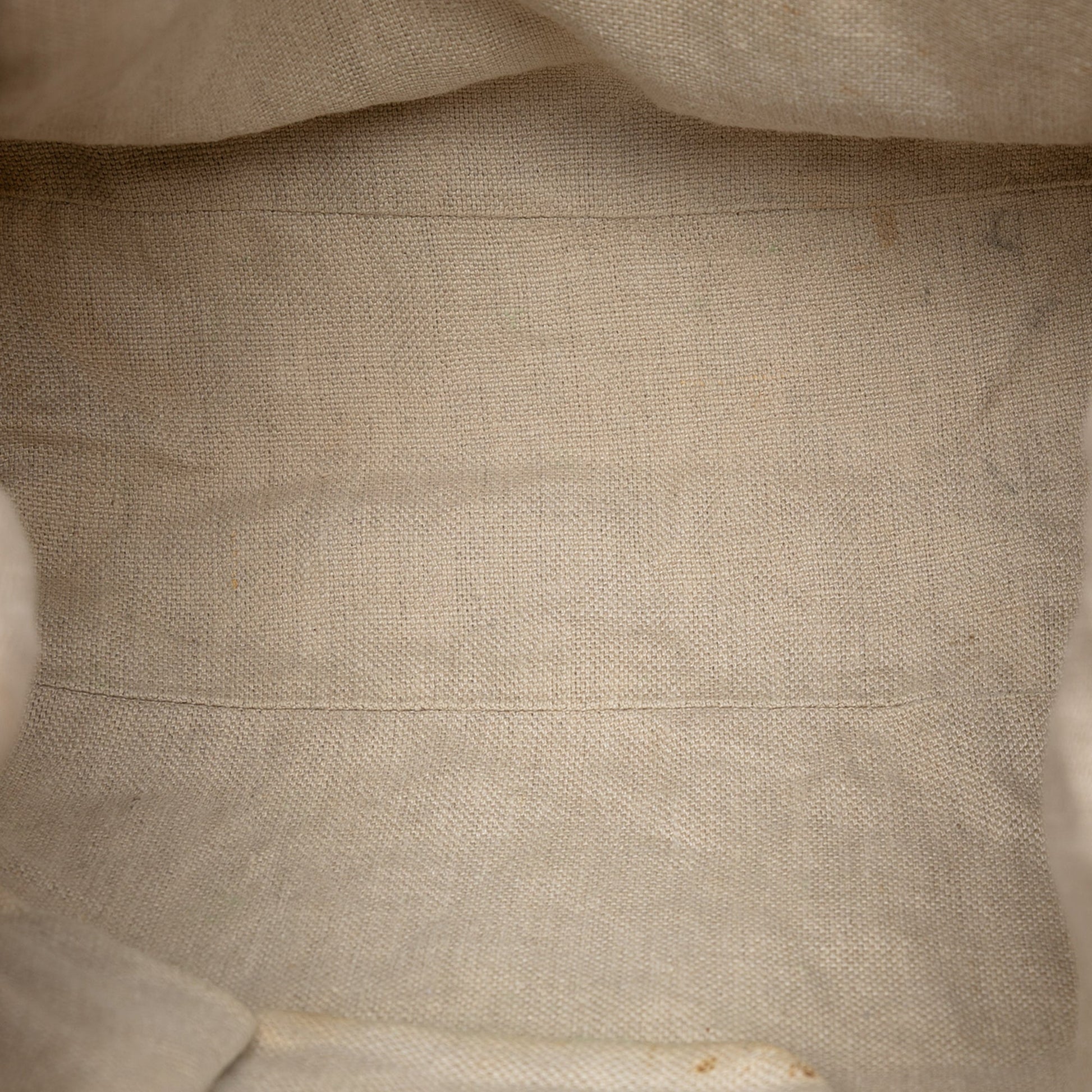 Gucci Large GG Canvas Icon Bit Satchel