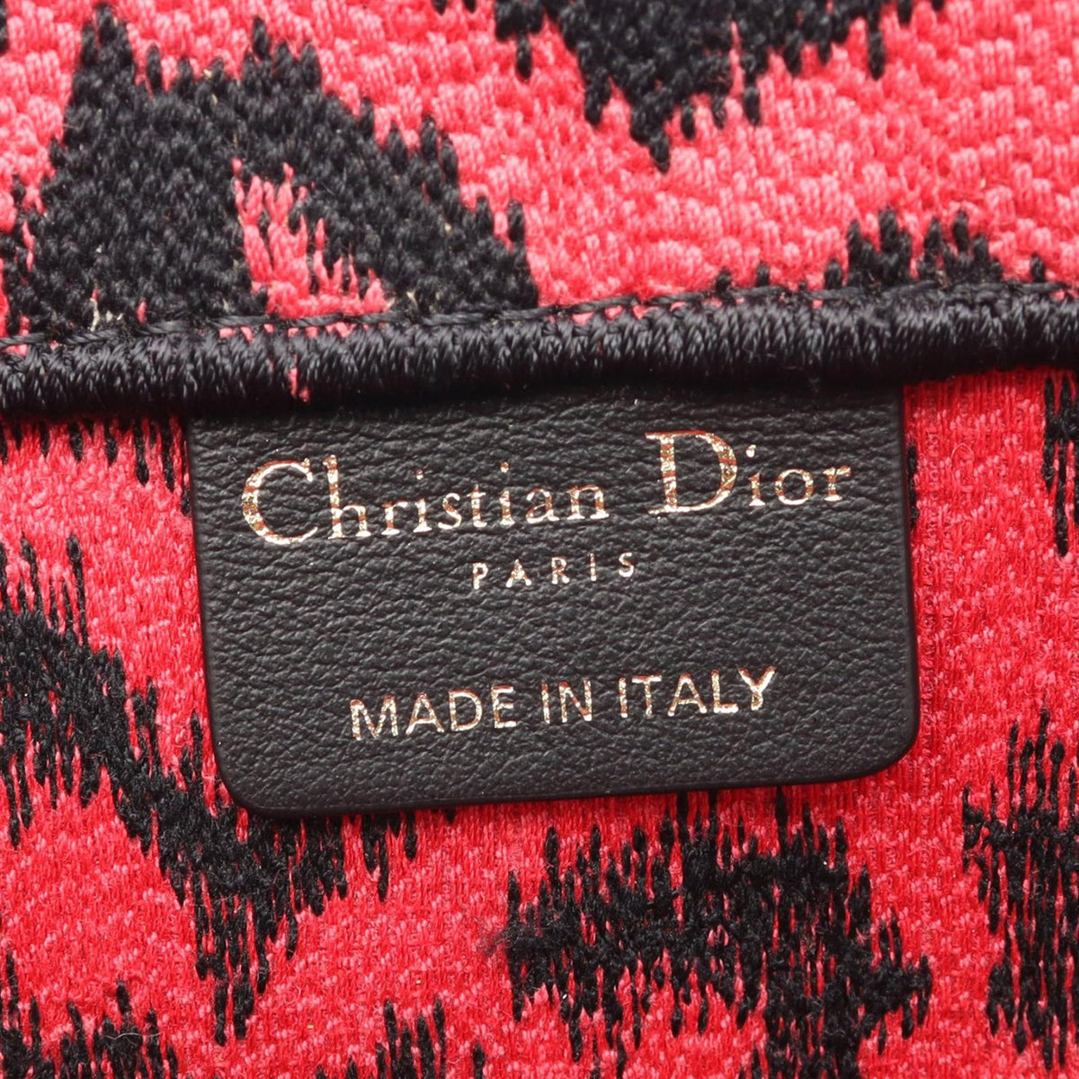 Dior Mizza Medium Embroidered Canvas Leopard Book Tote