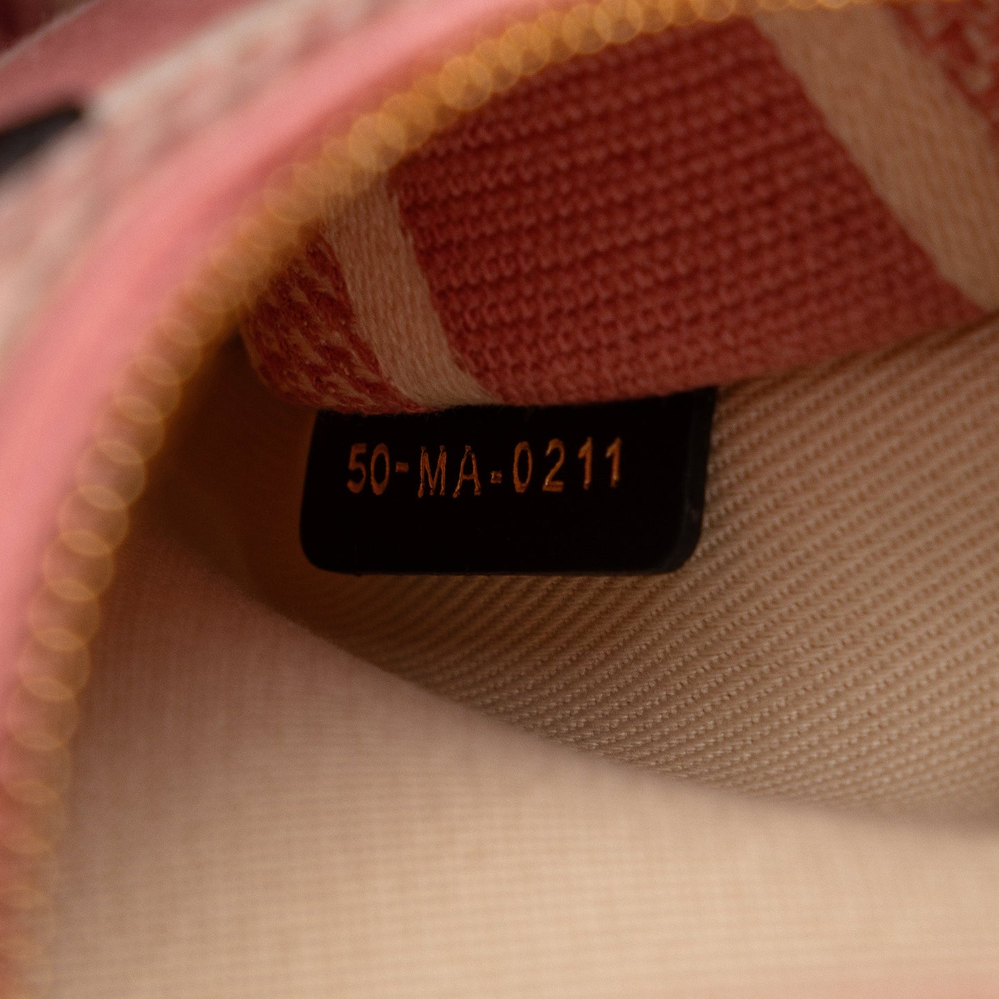 Dior Medium Embroidered Canvas D Stripes Lady D Lite